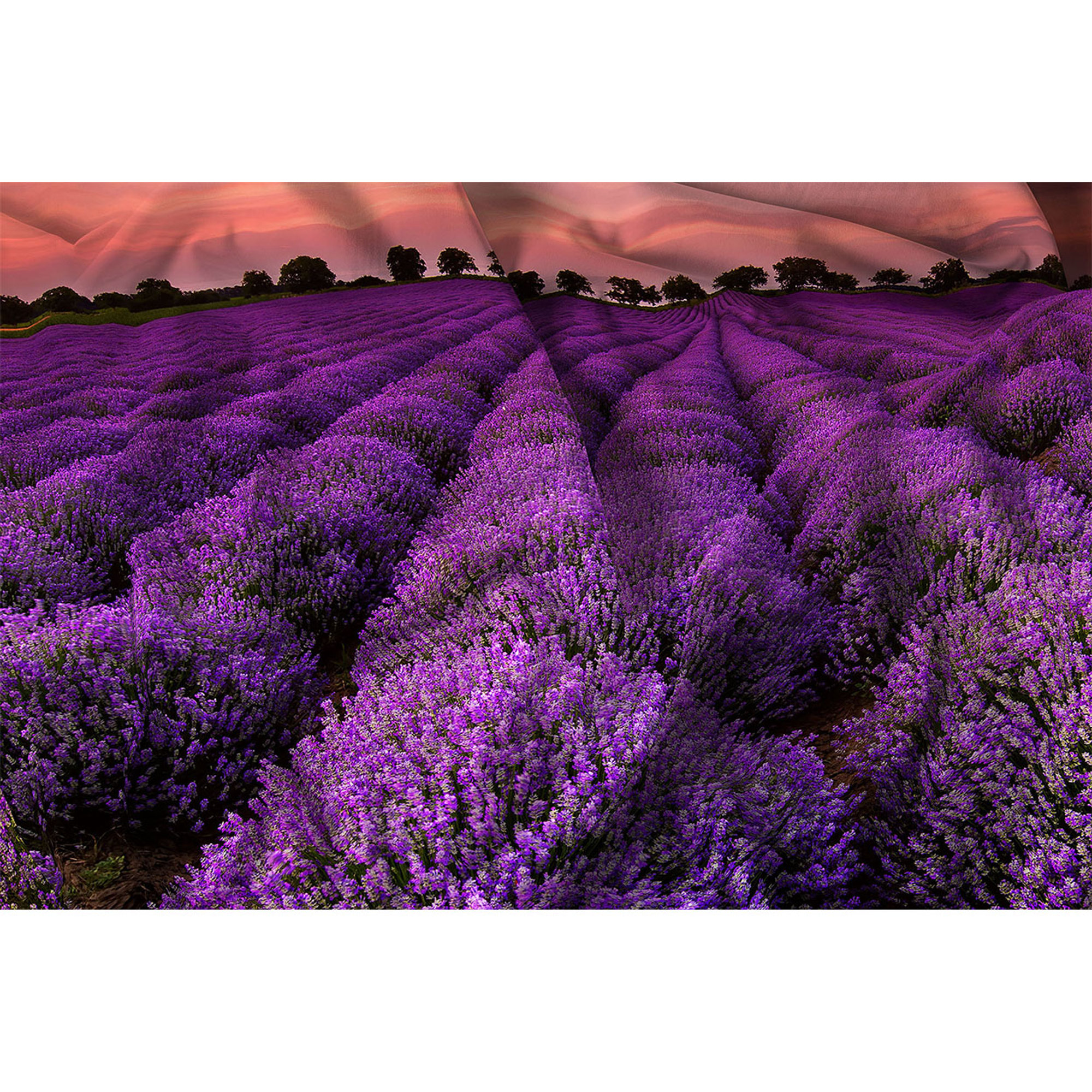 Funda Nórdica Goodnight Lavender Datex obsoleto vista3