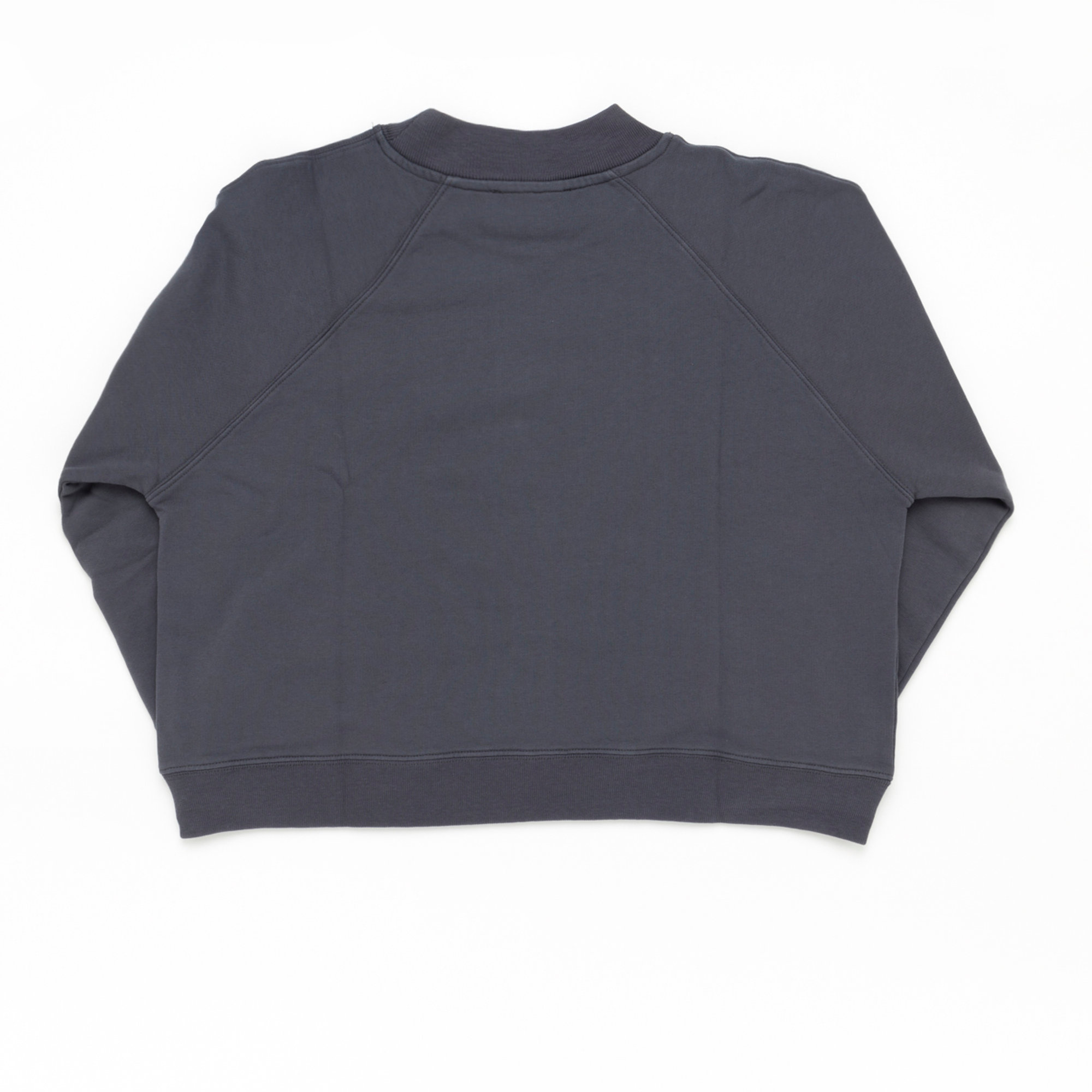 Alternative felpa collo lupetto grigia Alternative Apparel vista1