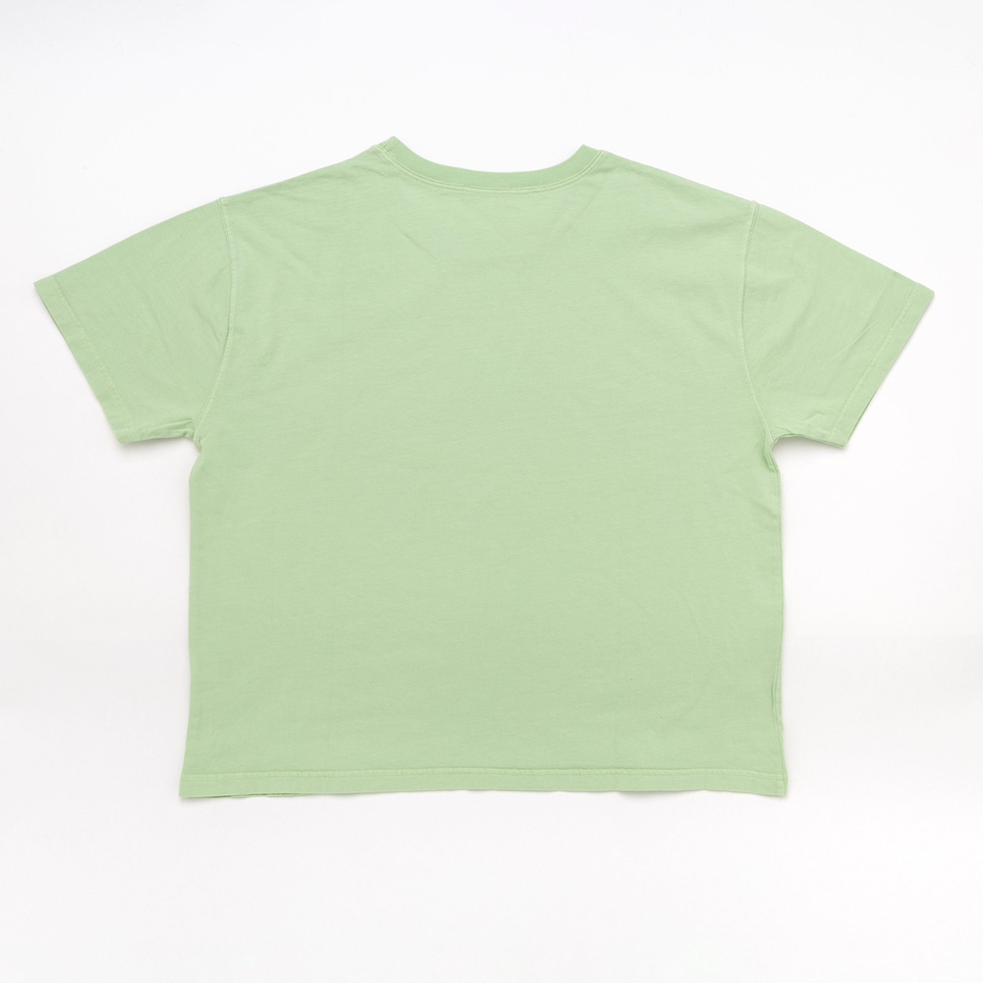 American Vintage t-shirt Fizvalley verde salvia American Vintage vista1