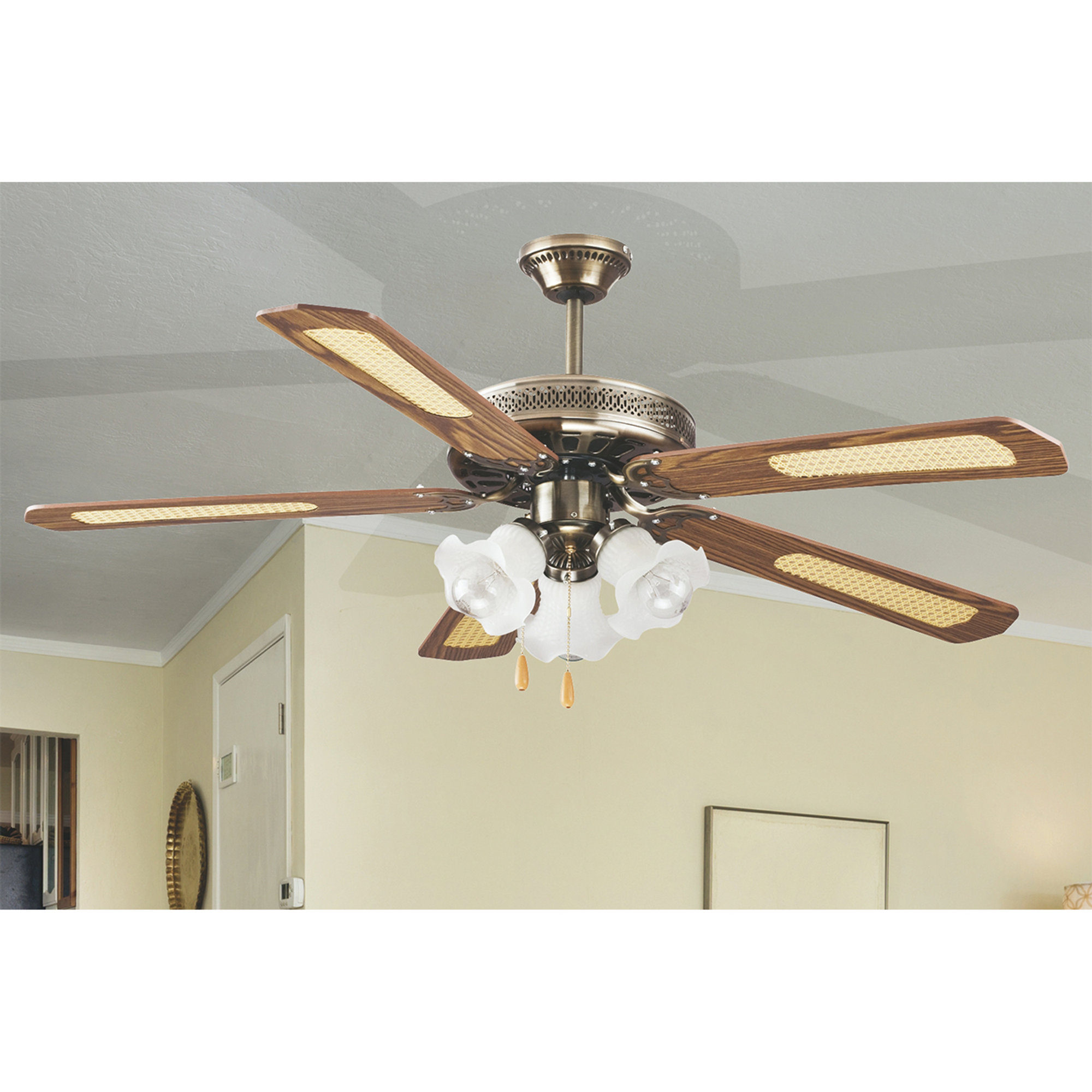 Ventilatore soffitto 5 pale d130cm 3 luci marrone Kooper vista1