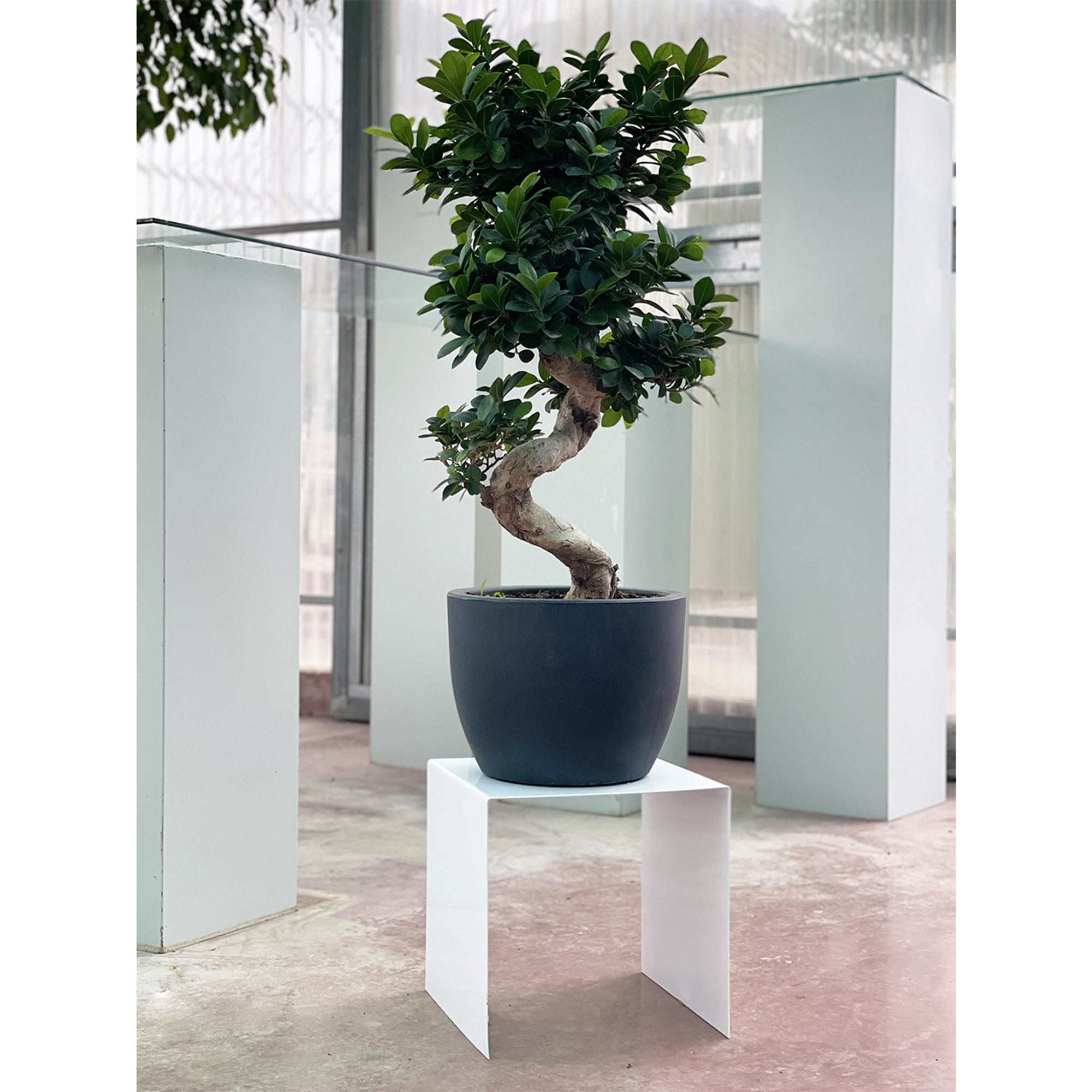 WANDA - 701 - bianco Metal Evolution vista1