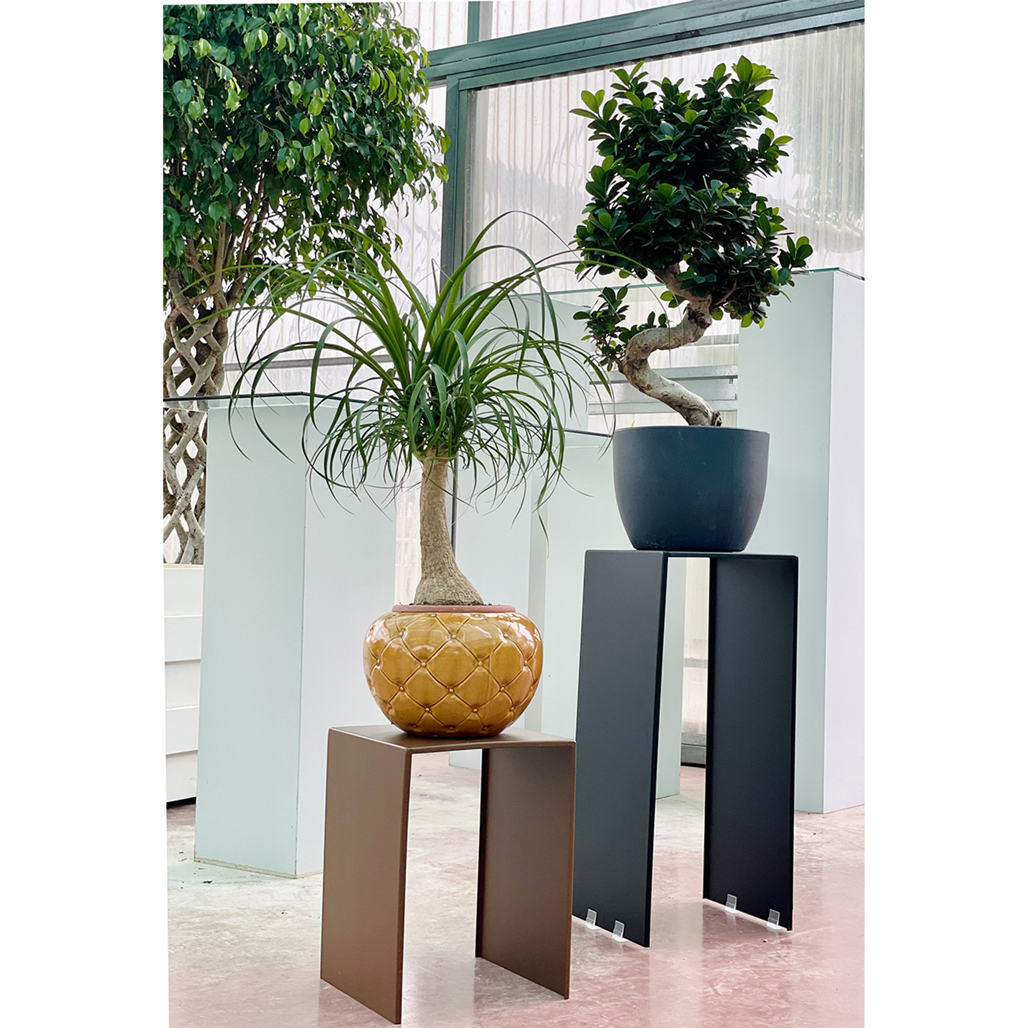 WANDA - 702 - corten Metal Evolution vista3