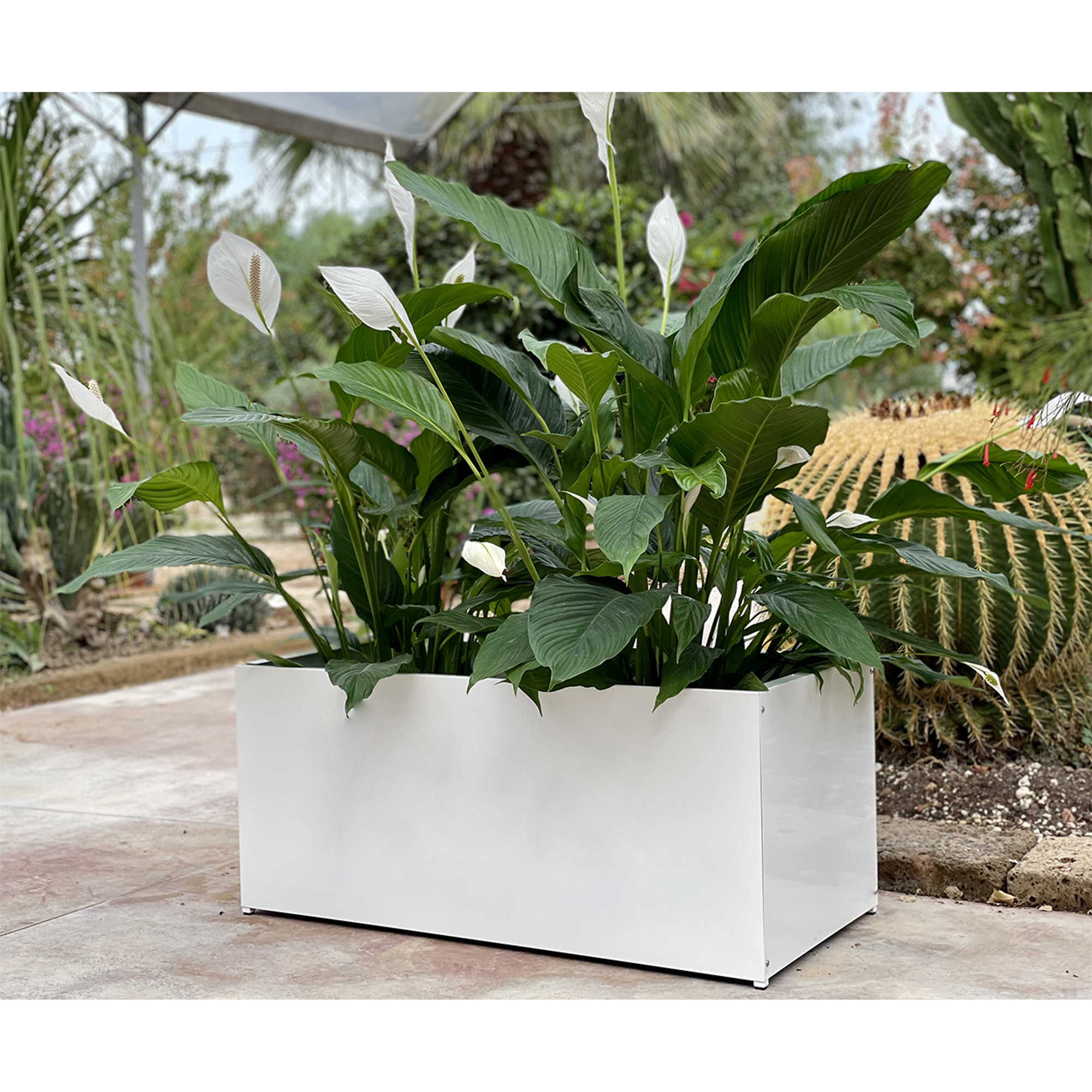 ALAKA - 688 - bianco Metal Evolution vista1
