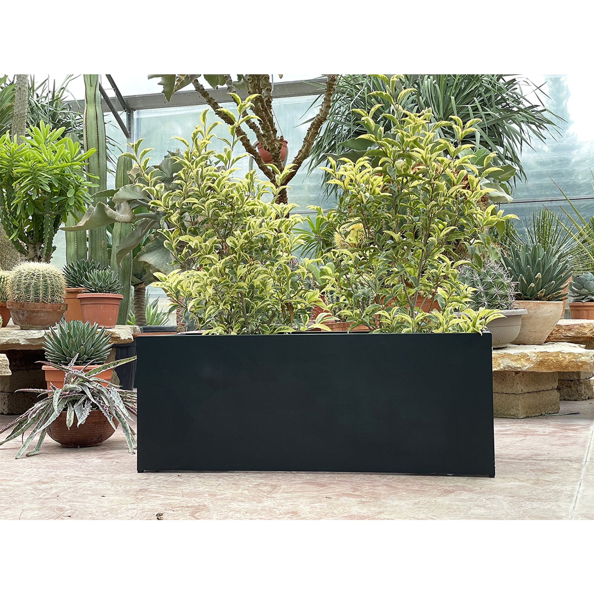 ALAKA - 688 - nero Metal Evolution vista2
