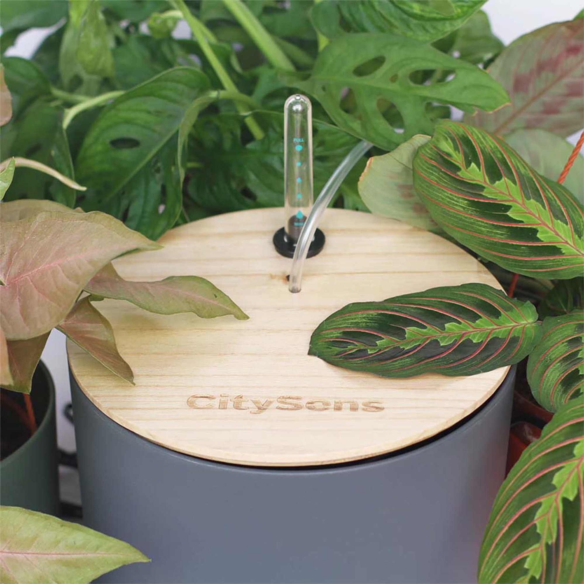 Sistema inteligente de autorriego con depósito de agua; antracita CitySens vista3