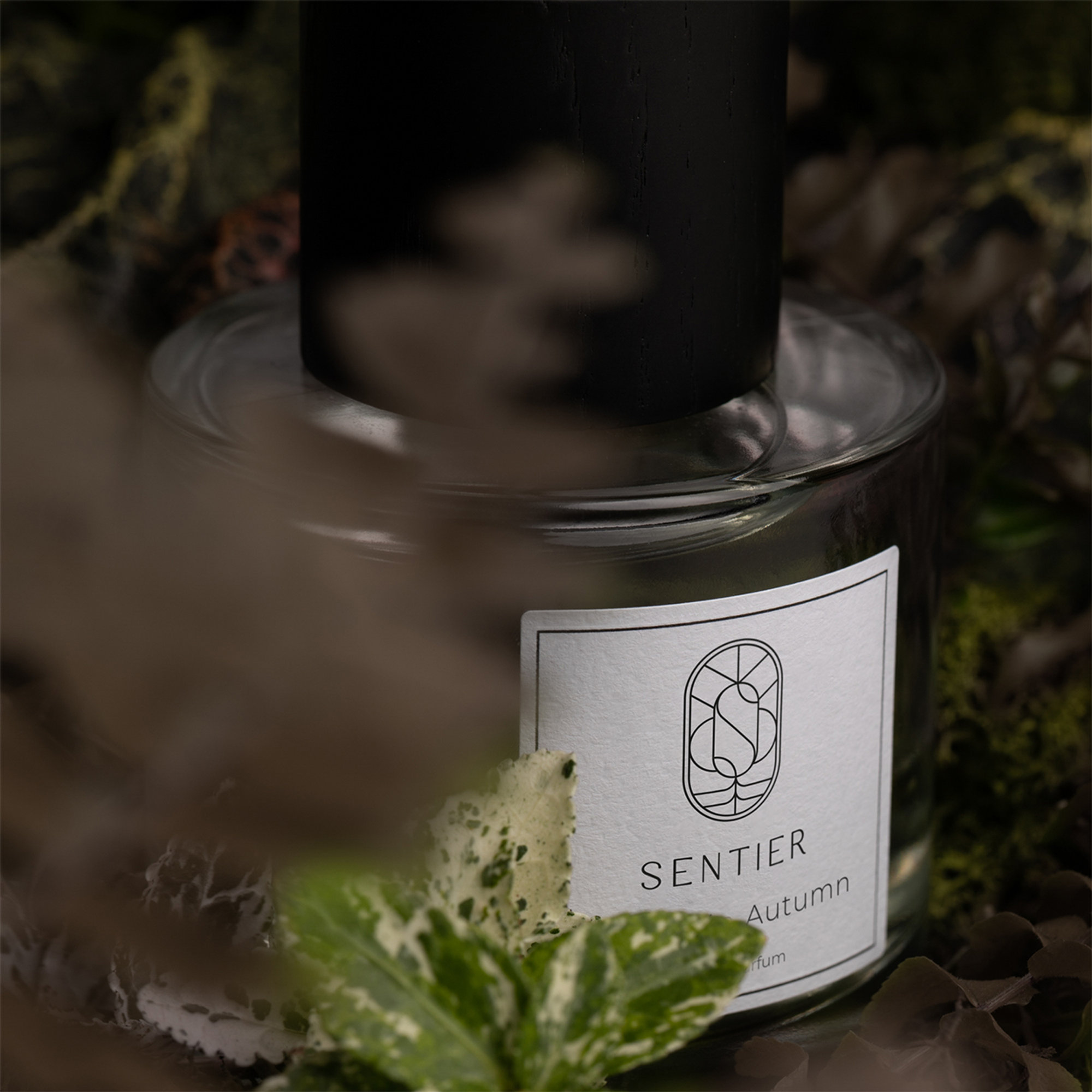 Balade in Autumn 100 ml Sentier vista8
