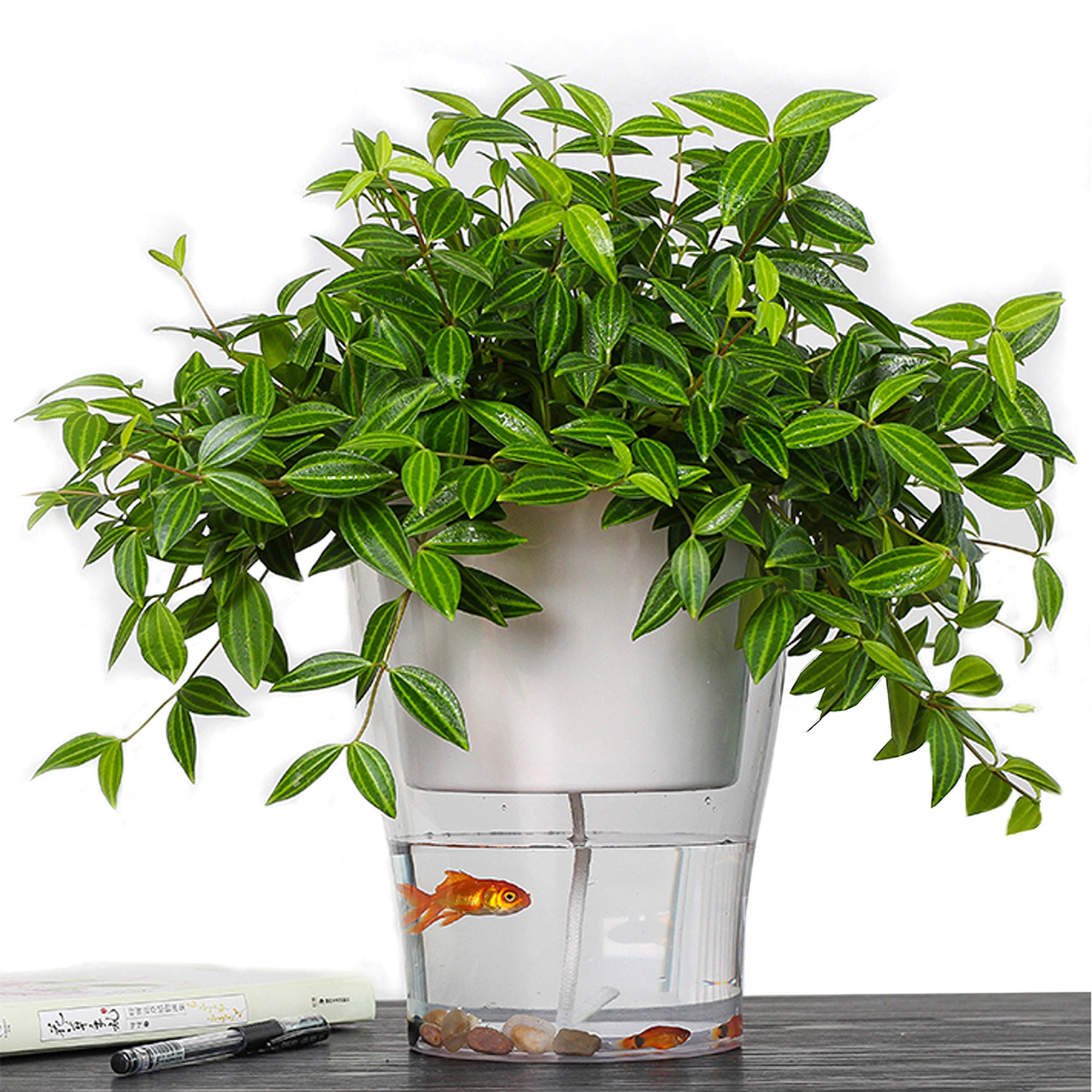 Vaso autoinnaffiante per esterno / internoRaffy Large, bianco Tomasucci special price vista4