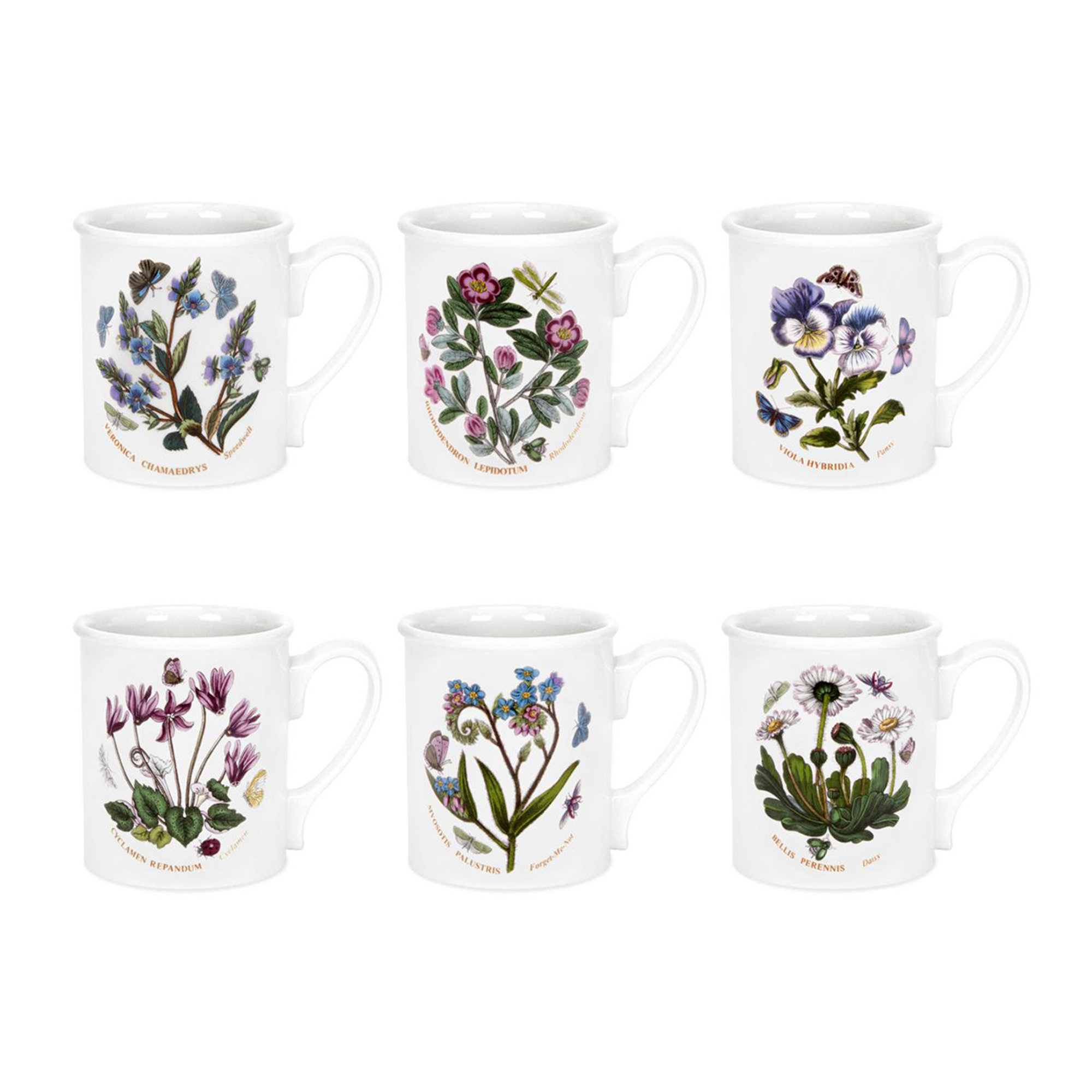 Set 6 Mugs - Jardin Botanique Portmeirion vista0