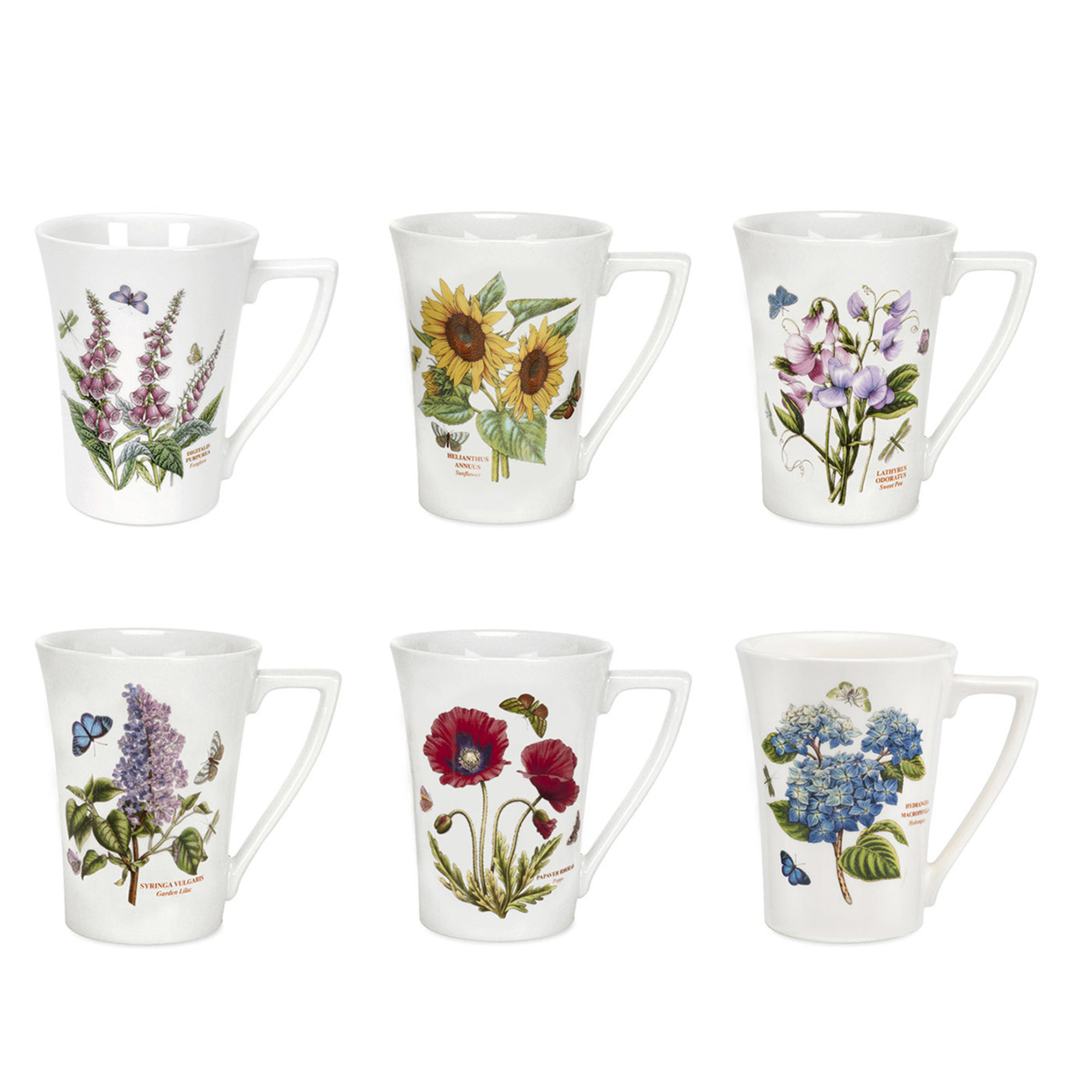 Set 6 Mugs - Jardin Botanique Portmeirion vista0