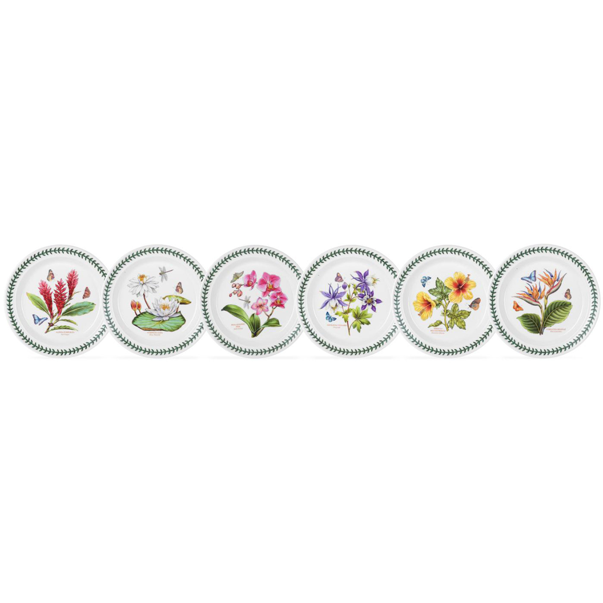 Set di 6 piatti Exotic Botanic Garden, 20 cm Portmeirion vista0