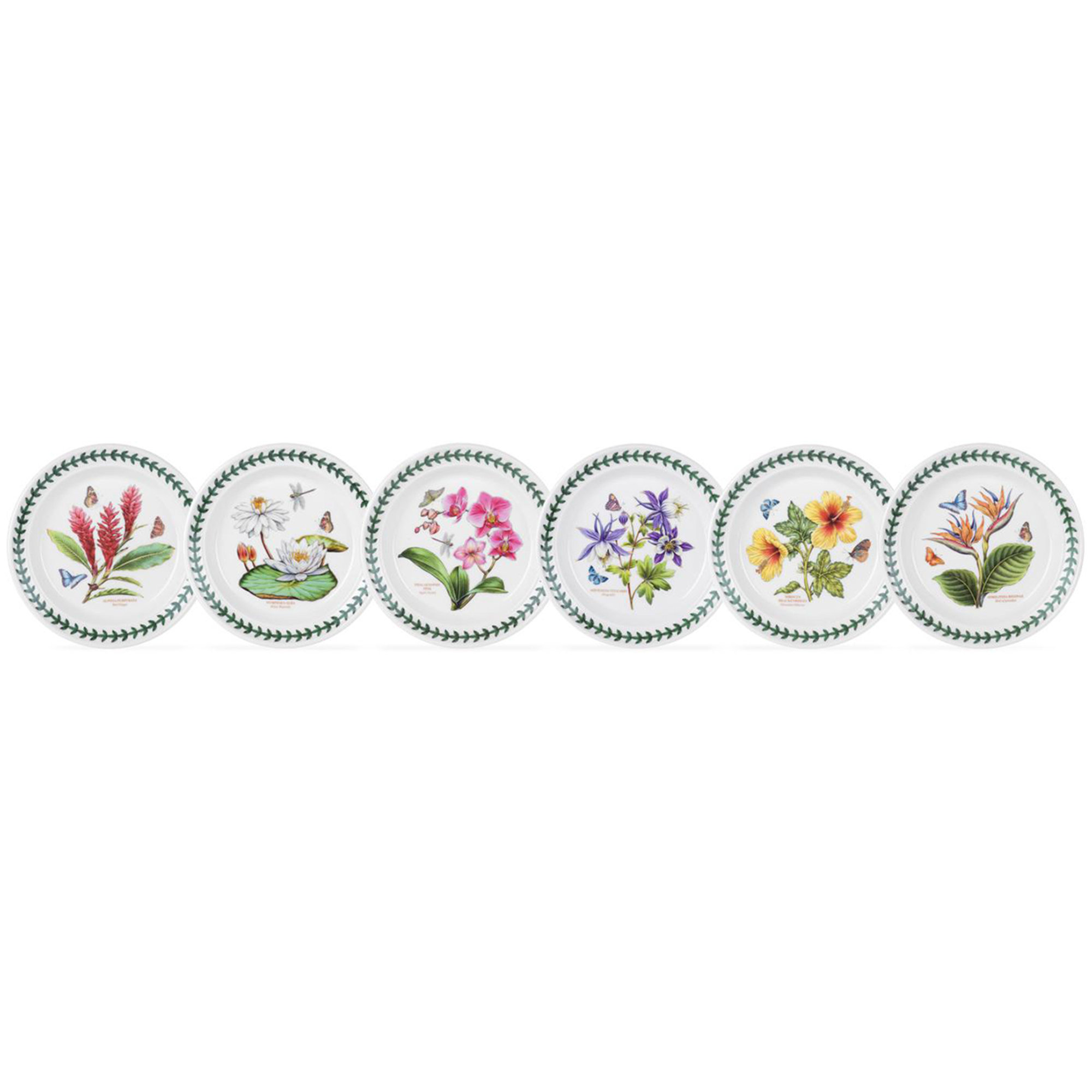 Juego de 6 Platos Jardín Botánico Exótico Portmeirion vista0