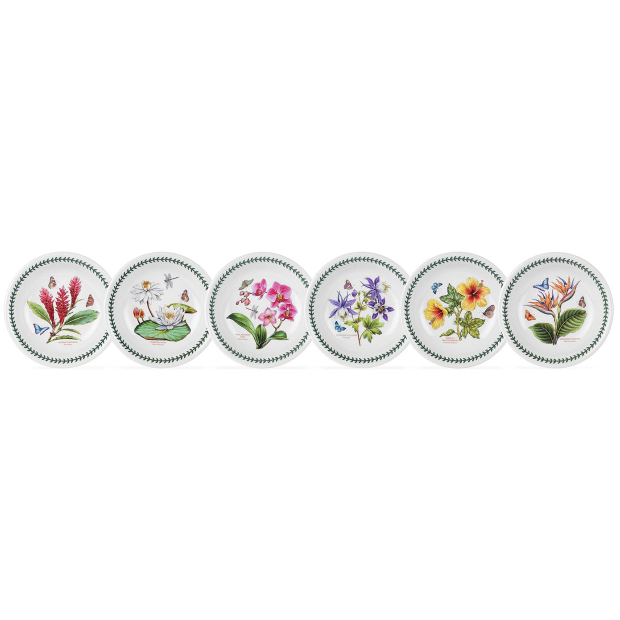 Set di 6 ciotole per pasta Exotic Botanic Garden Portmeirion vista0