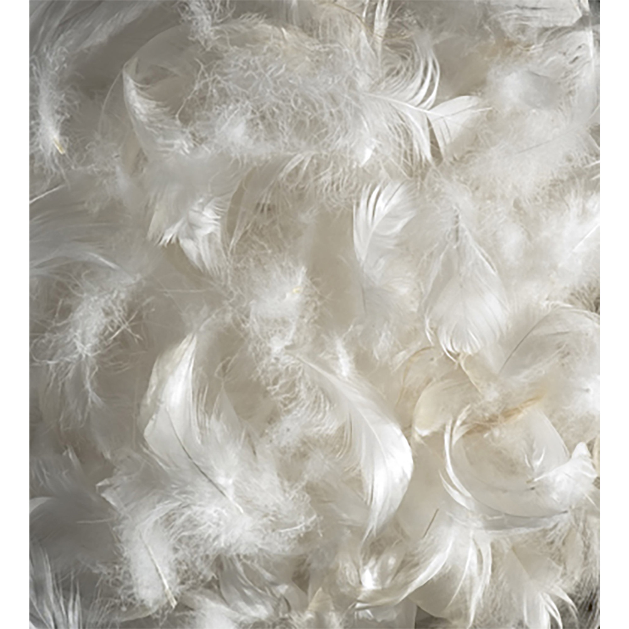 Oreiller en plumes Prestige 30/70 cm. 50x80 Soff.IM vista5