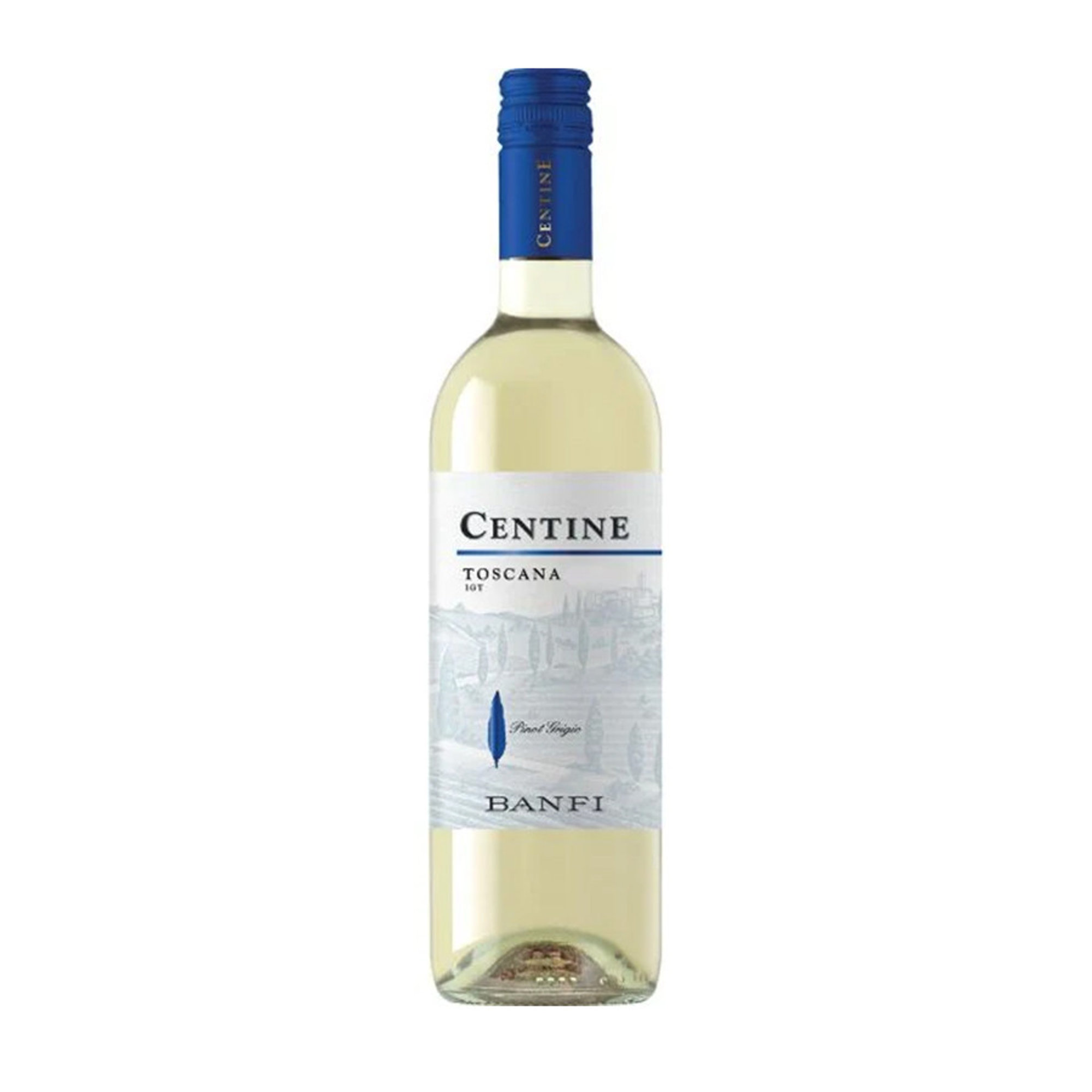 Toscana Bianco Igt Centine 2022 - Banfi [Stelvin cap] 0.75 lt Banfi vista0