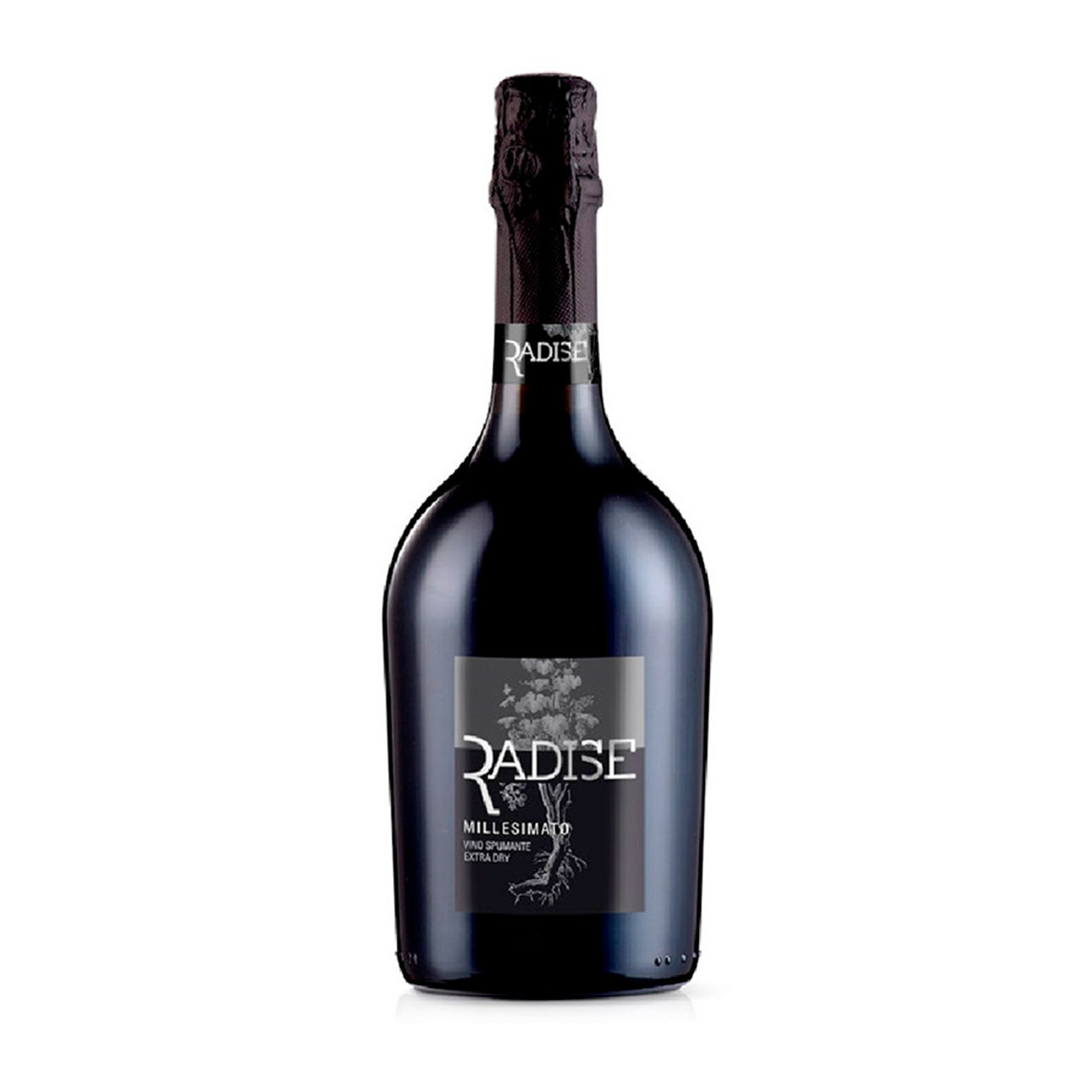 Spumante Extra Dry Millesimato 2022 - Radise 0.75 lt Radise vista0