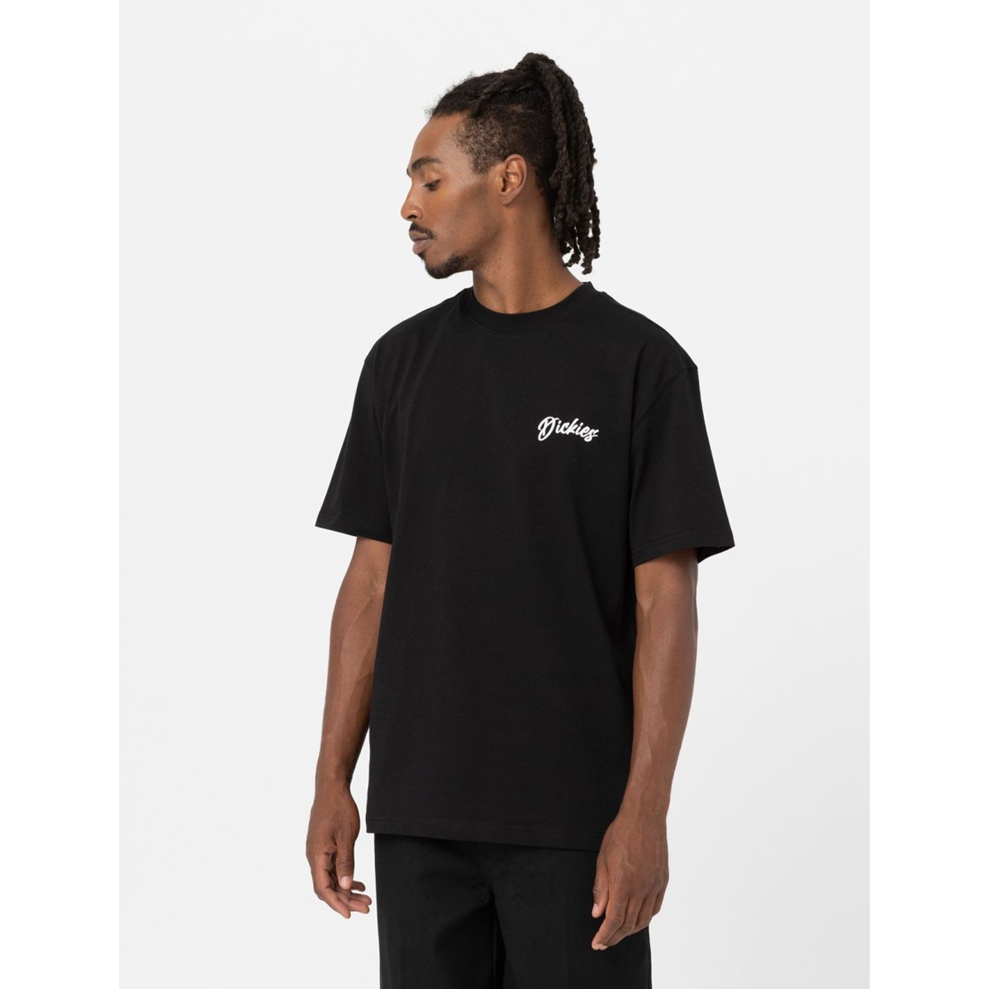 Dighton Tee ss  Dk0a4yfeblk1 Dickies vista0