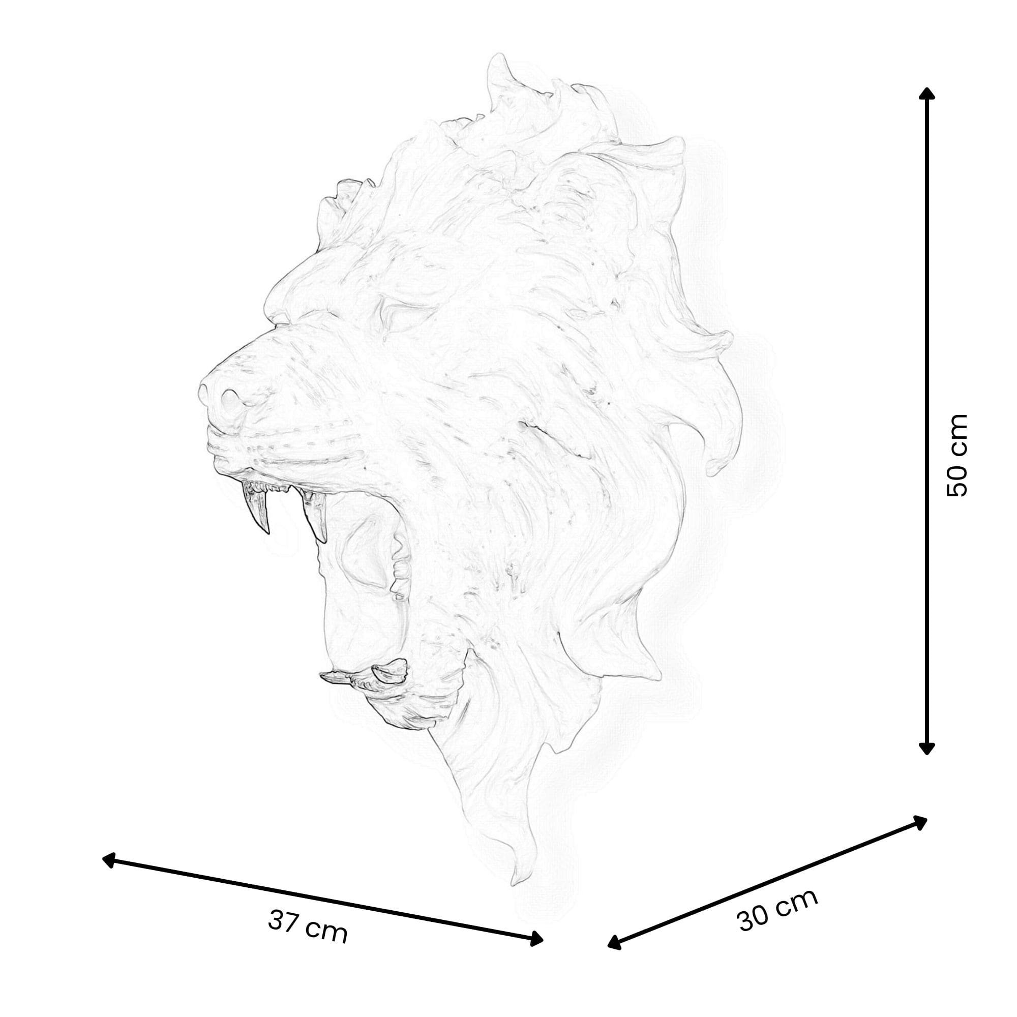 Adm - Sculpture en Résine 'tête de Lion' Arte dal mondo vista3