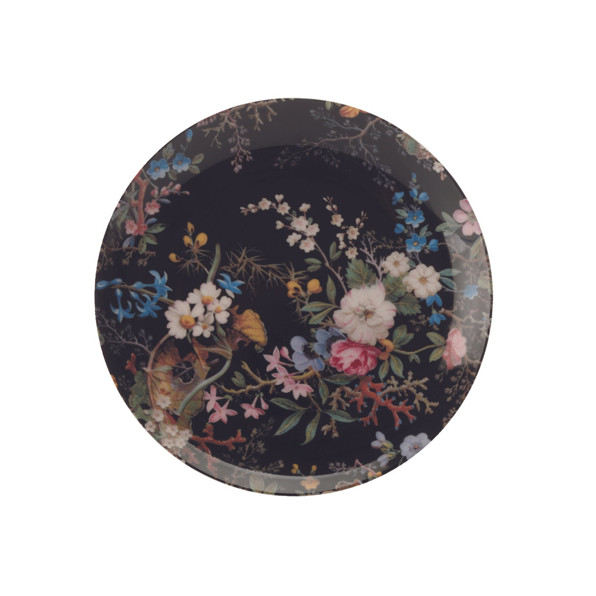 Set of 6 Dessert Plates William Kilburn 20 cm Midnight Blossom Mwwk01520 Maxwell & Williams vista0
