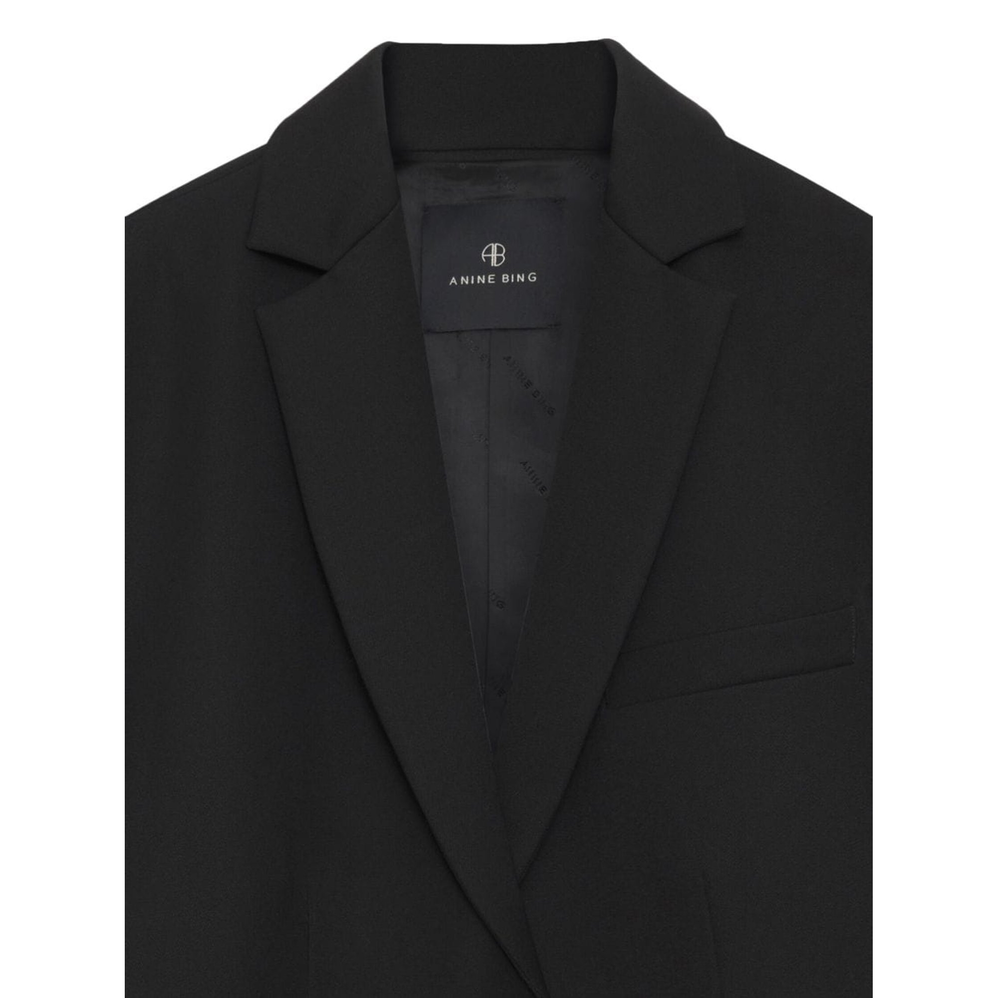 Quinn Blazer A017073001 Anine Bing vista3
