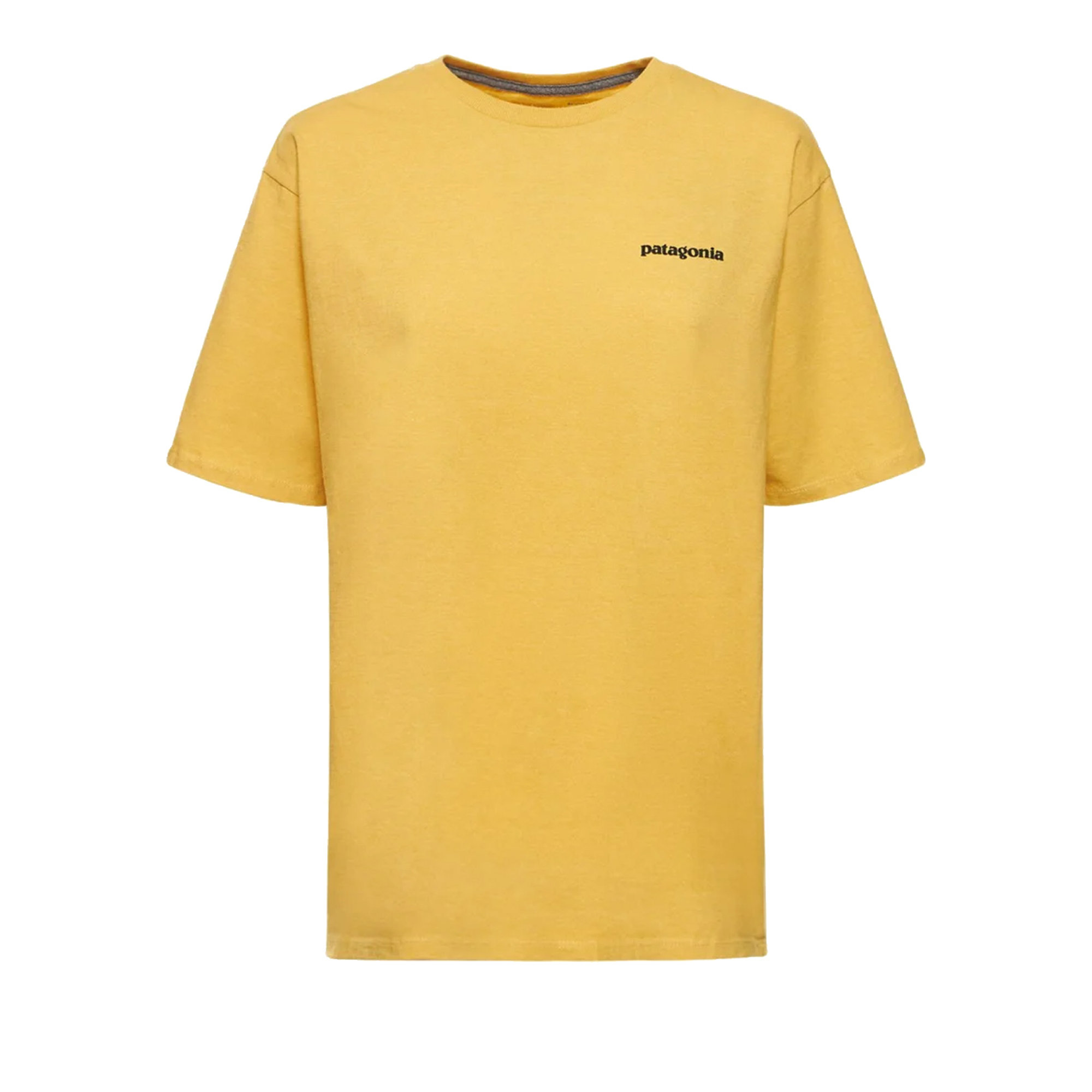 T-shirt Patagonia vista0