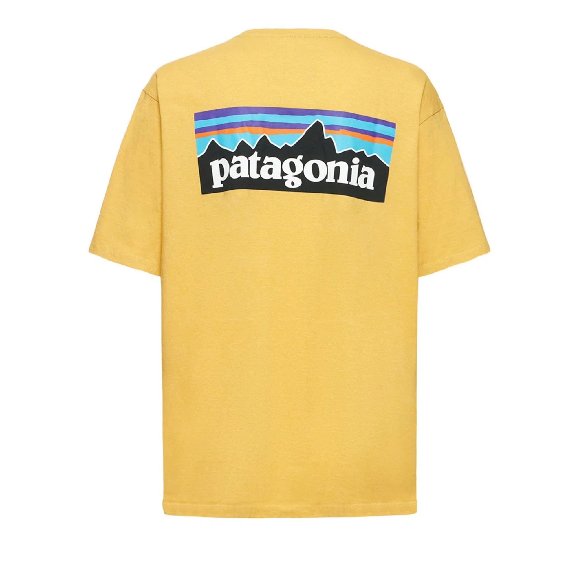 T-shirt Patagonia vista1
