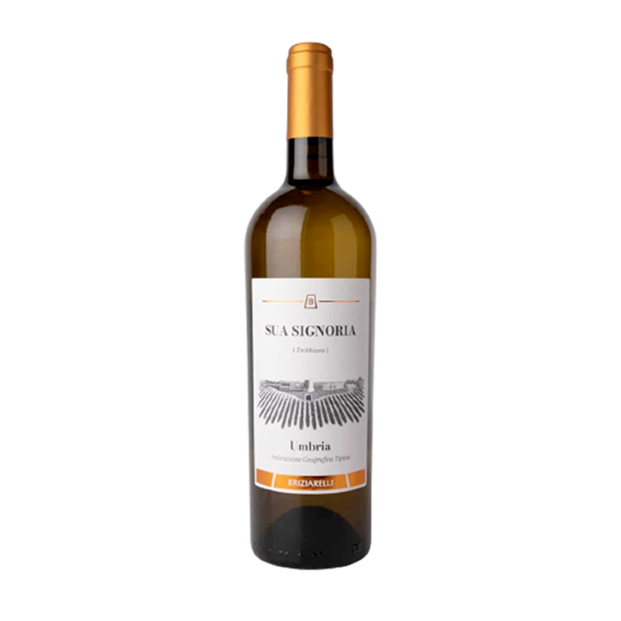 Trebbiano Umbria Igt Sua Signoria 2023 - Briziarelli 0,75 lt Briziarelli vista0