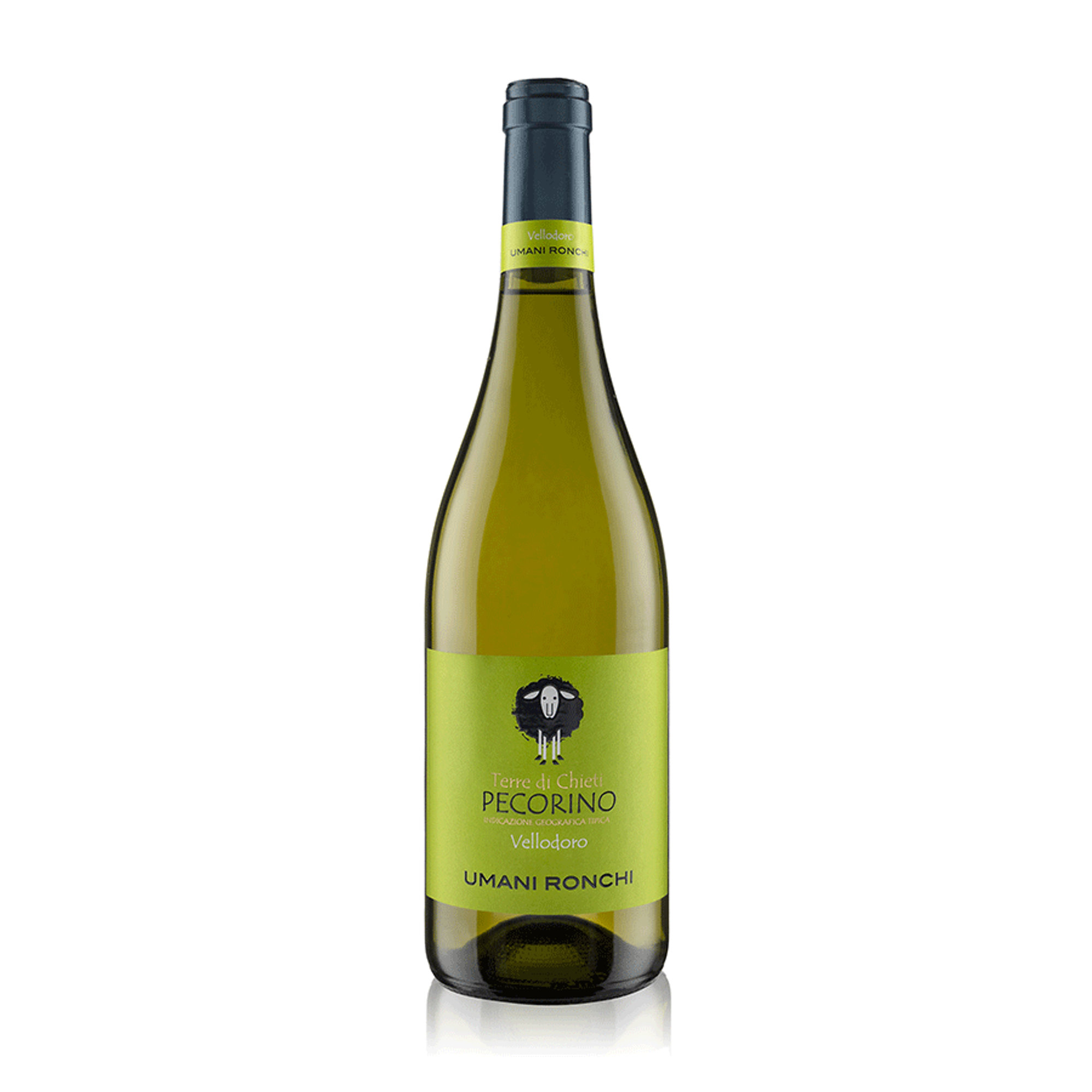 Pecorino Terre di Chiesti Igt Vellodoro 2023 - Umani Ronchi 0.75 lt Umani Ronchi vista0