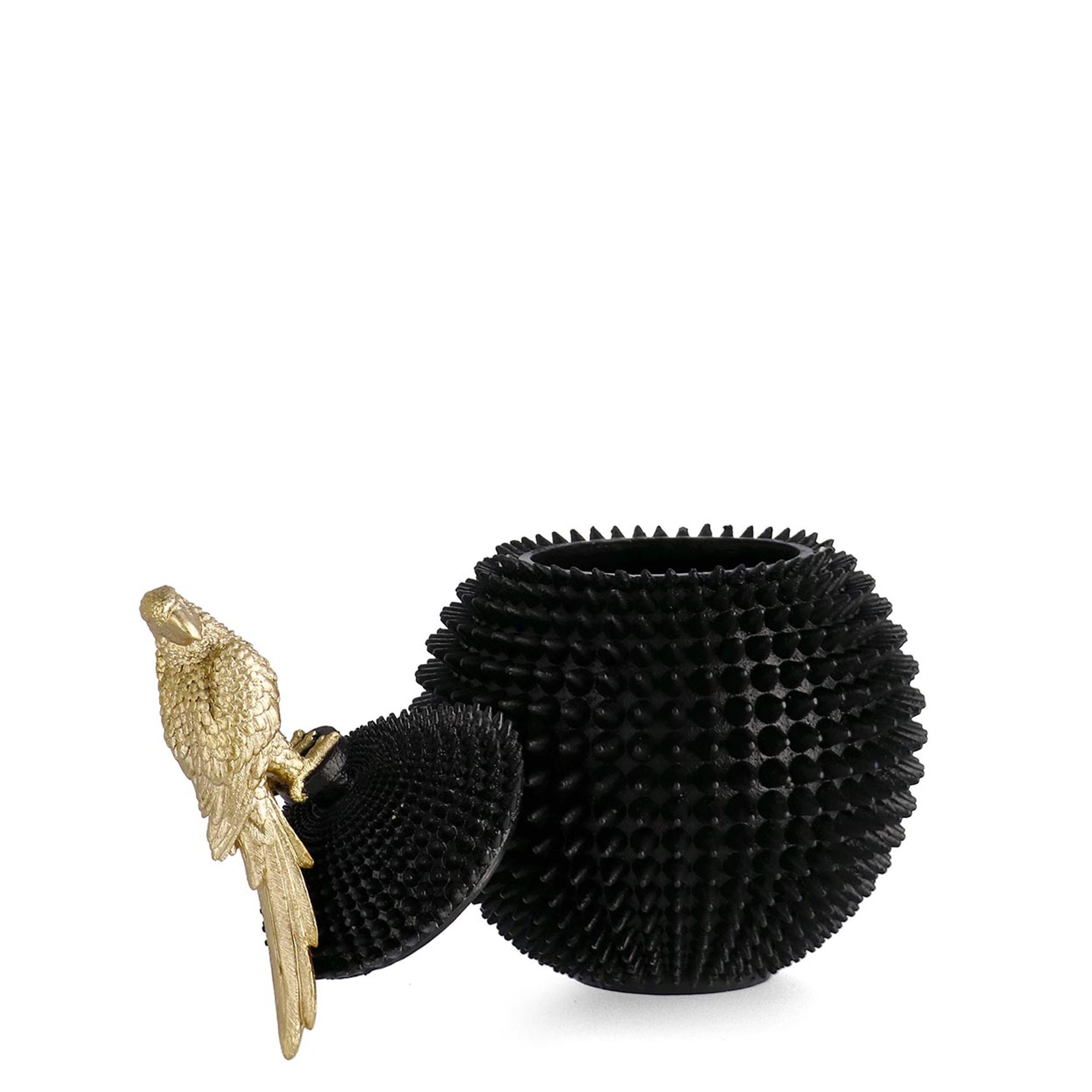 Jac Surabaya decoratie zwart papegaai goud h 40,3 Bizzotto Obsoleto vista1