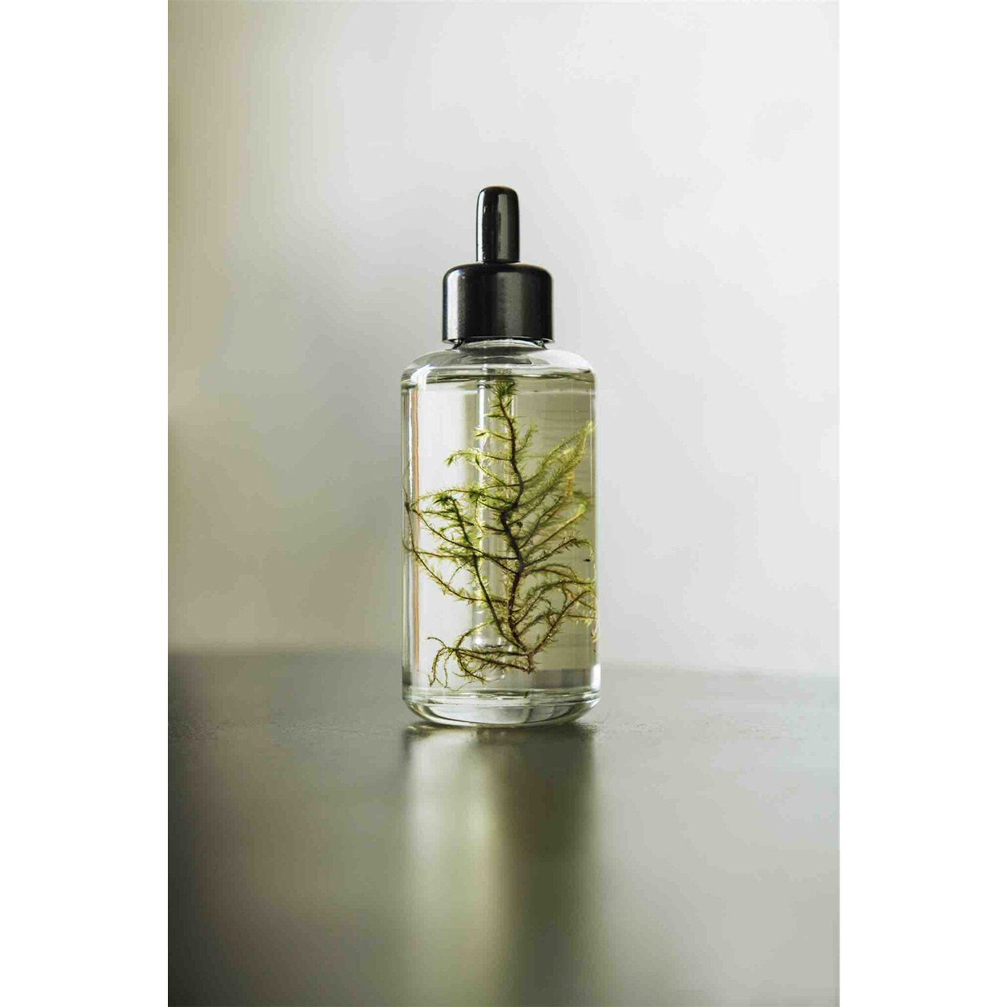 Olio Corpo al Muschio-100ml The Munio vista3