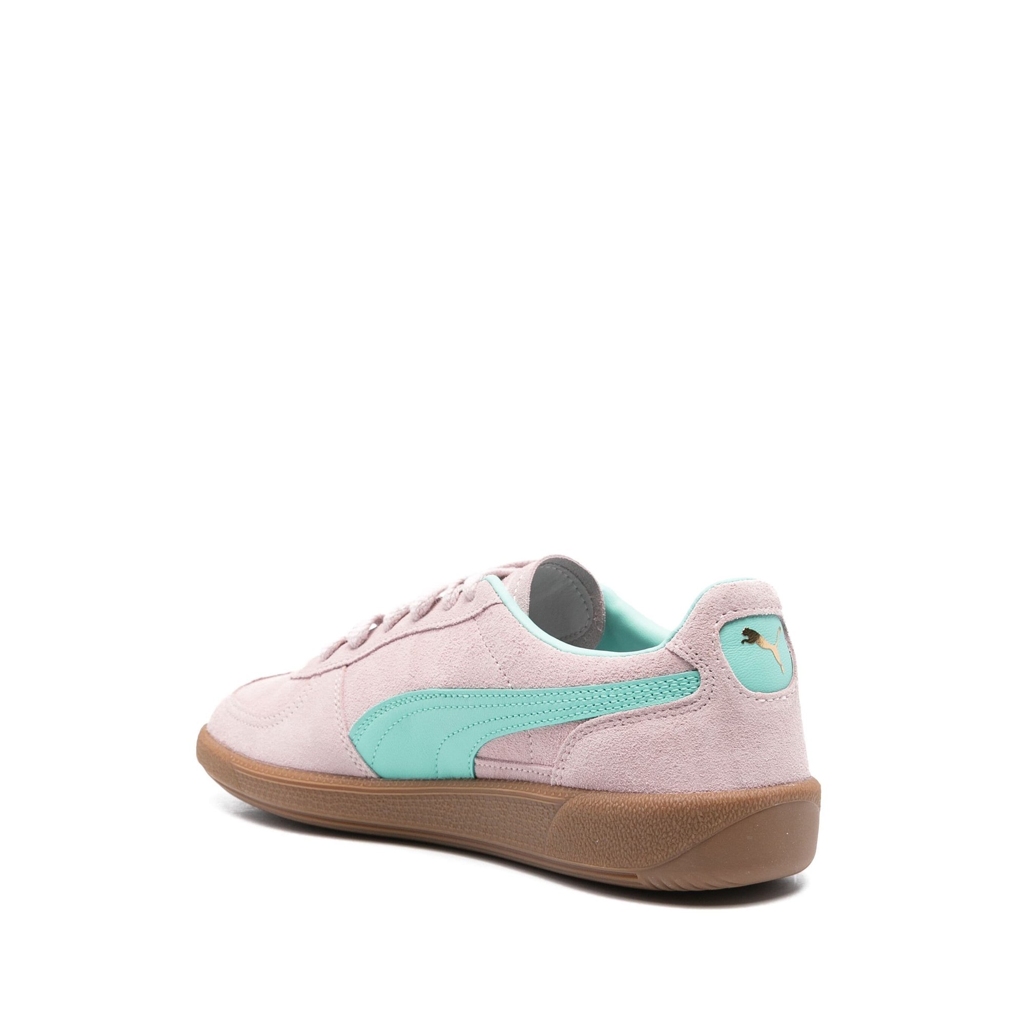 Palermo Puma vista2