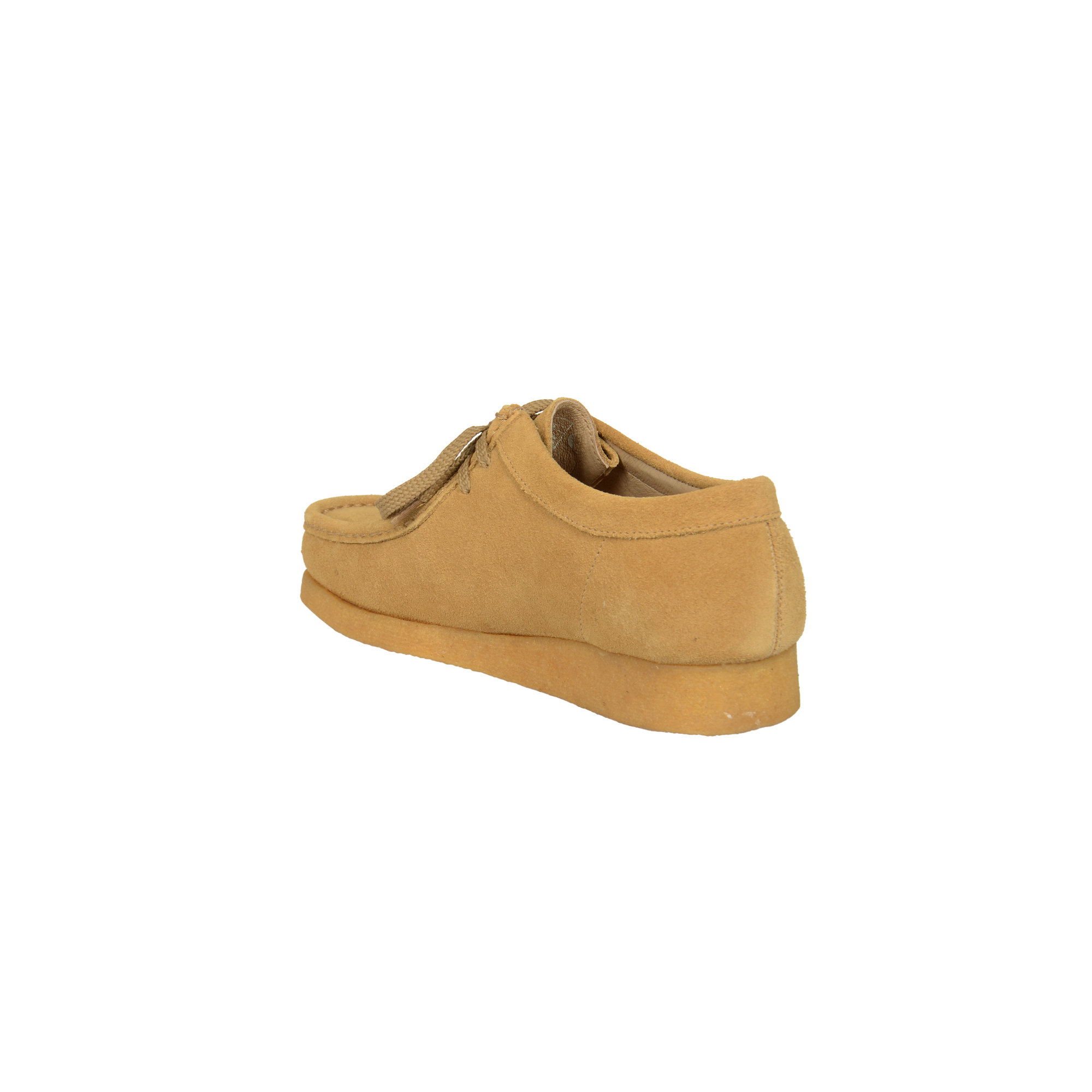 Koala Sebago vista2