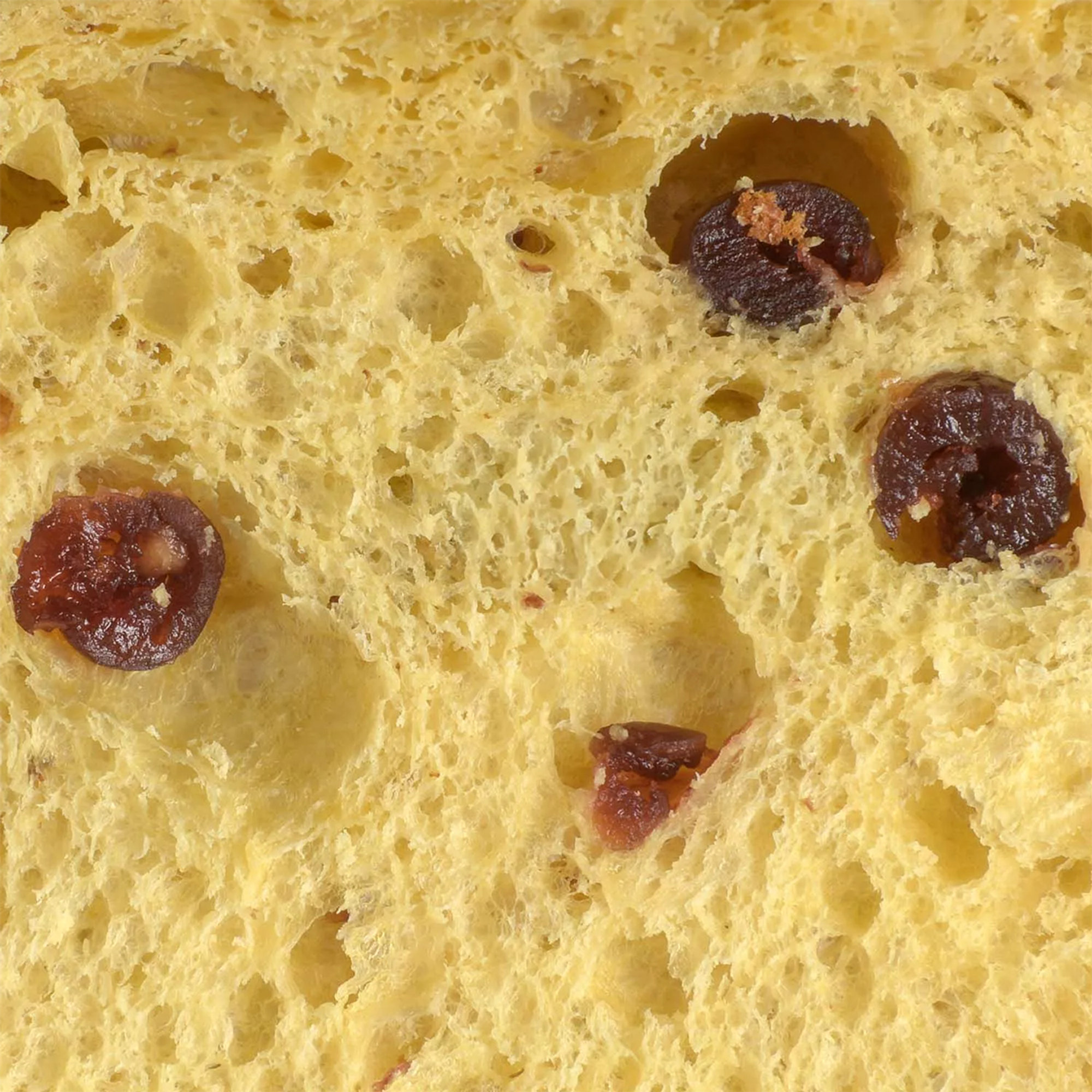 Toschi Cherry Panettone in gift box 1Kg Flamigni vista2