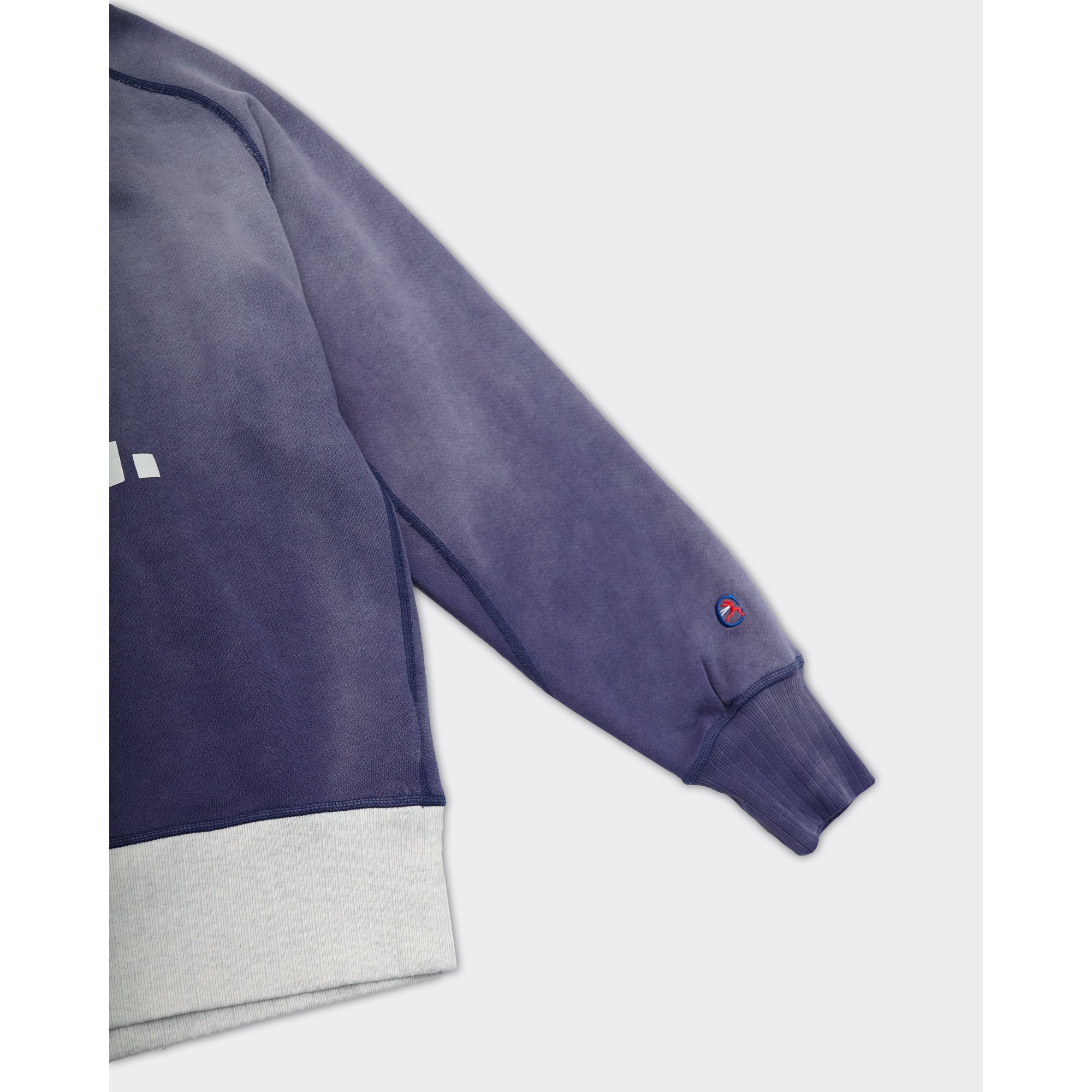 Felpa Crewneck  College Viola Champion  vista2