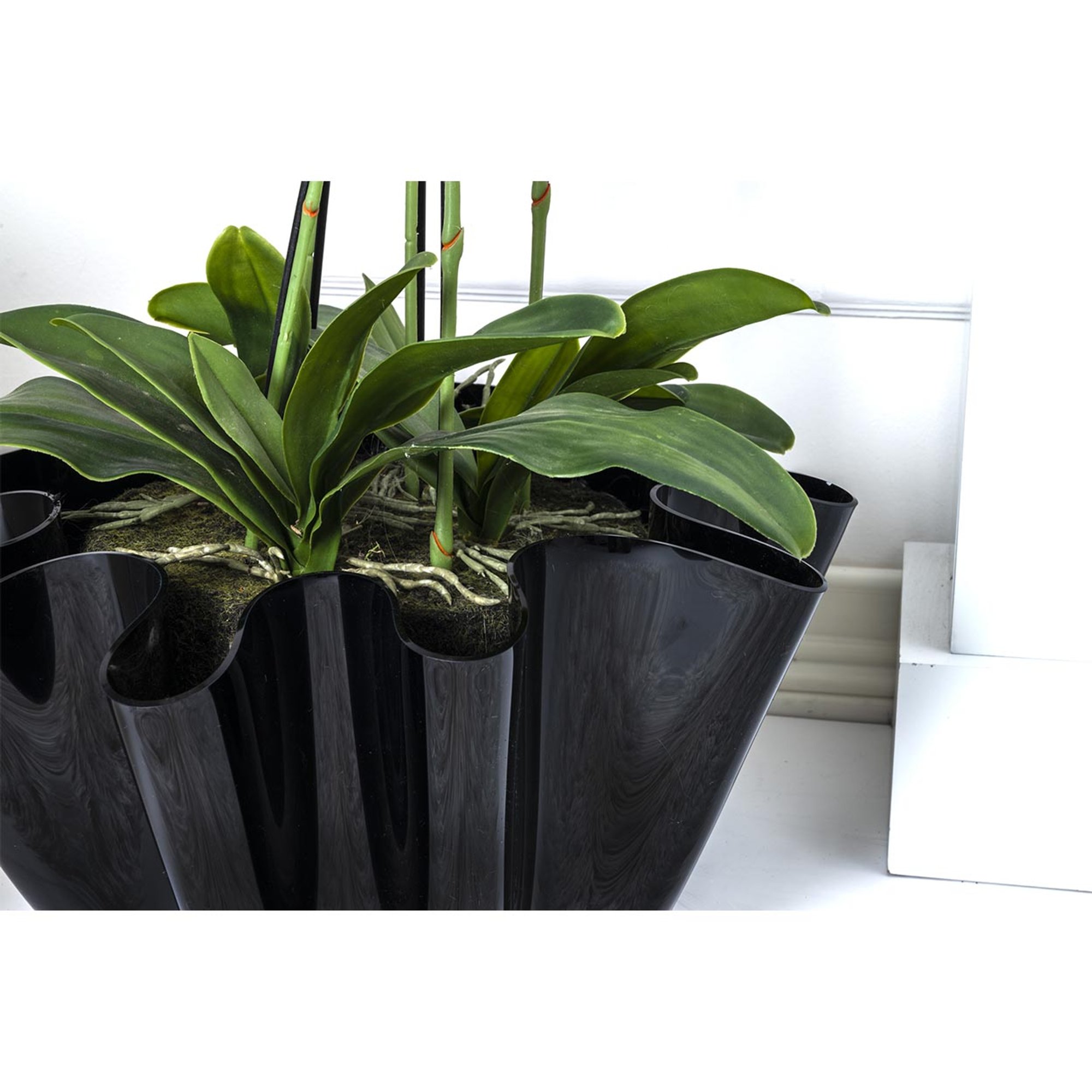 Drappeggi vaso grande nero Iplex vista4