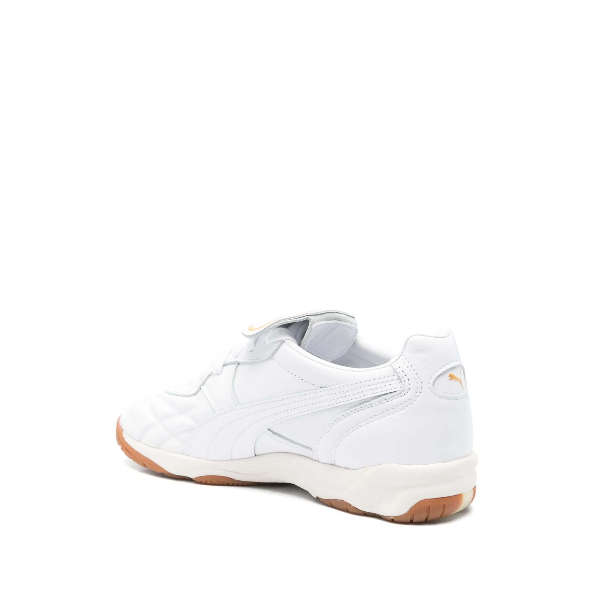 King Indoor Puma vista2