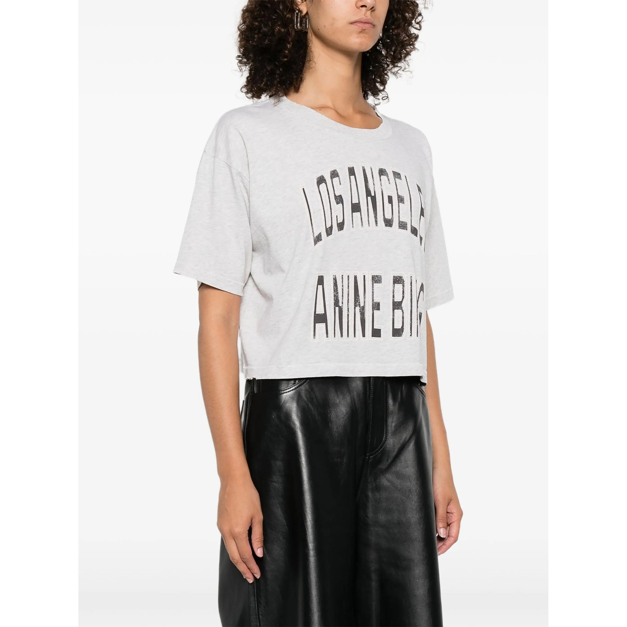 Johnny Cropped Tee - Grey Anine Bing vista2