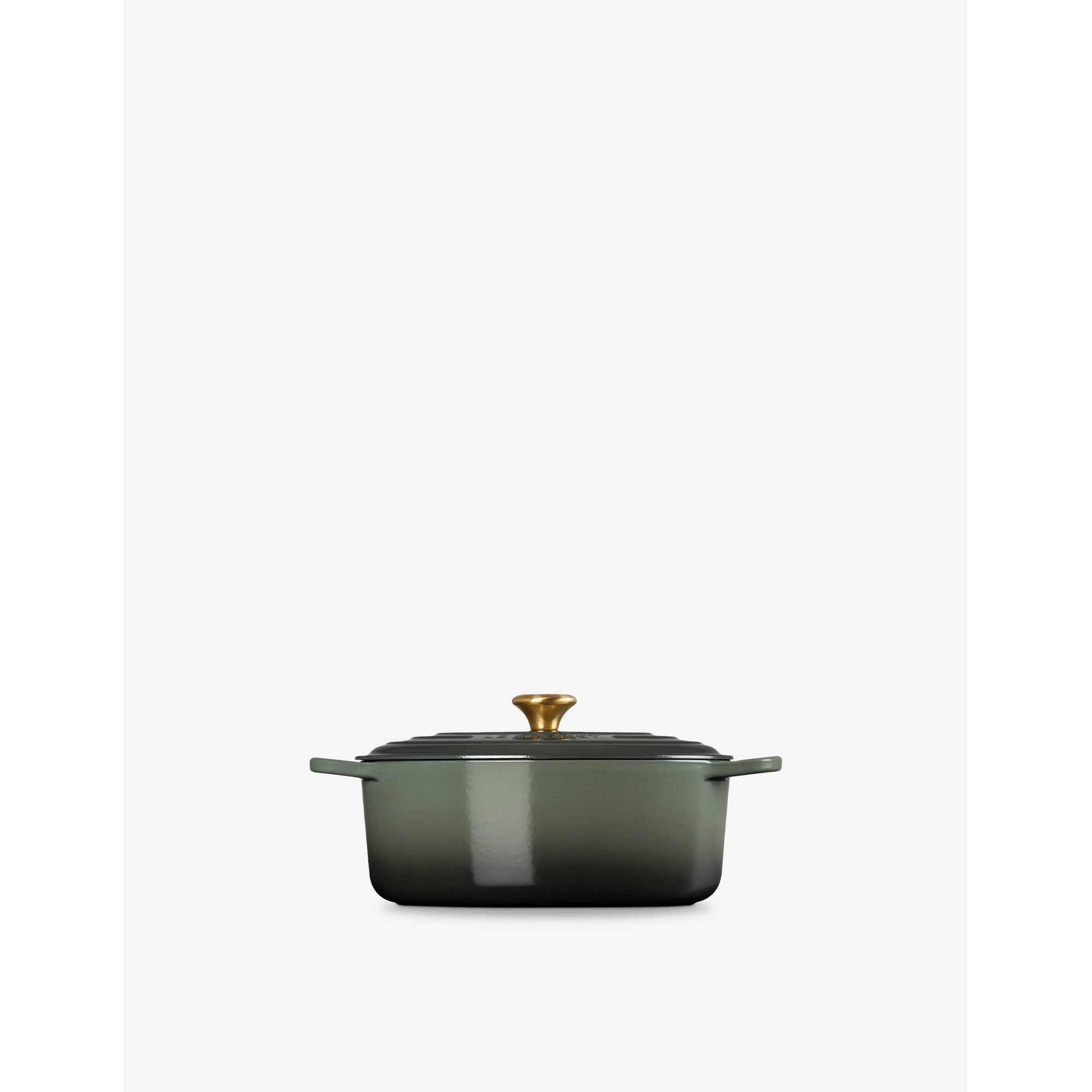 Cocotte Ovale Evo 31cm Le Creuset vista1