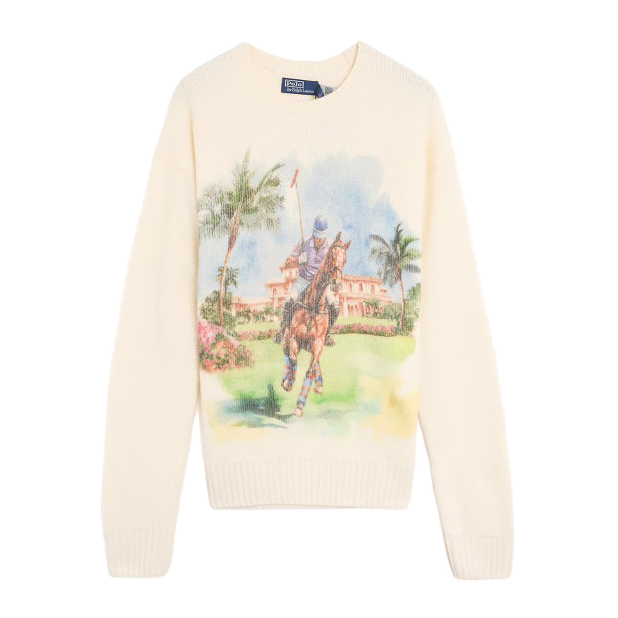 Cashmere Graphic Sweater 710b24337001 Polo Ralph Lauren vista0