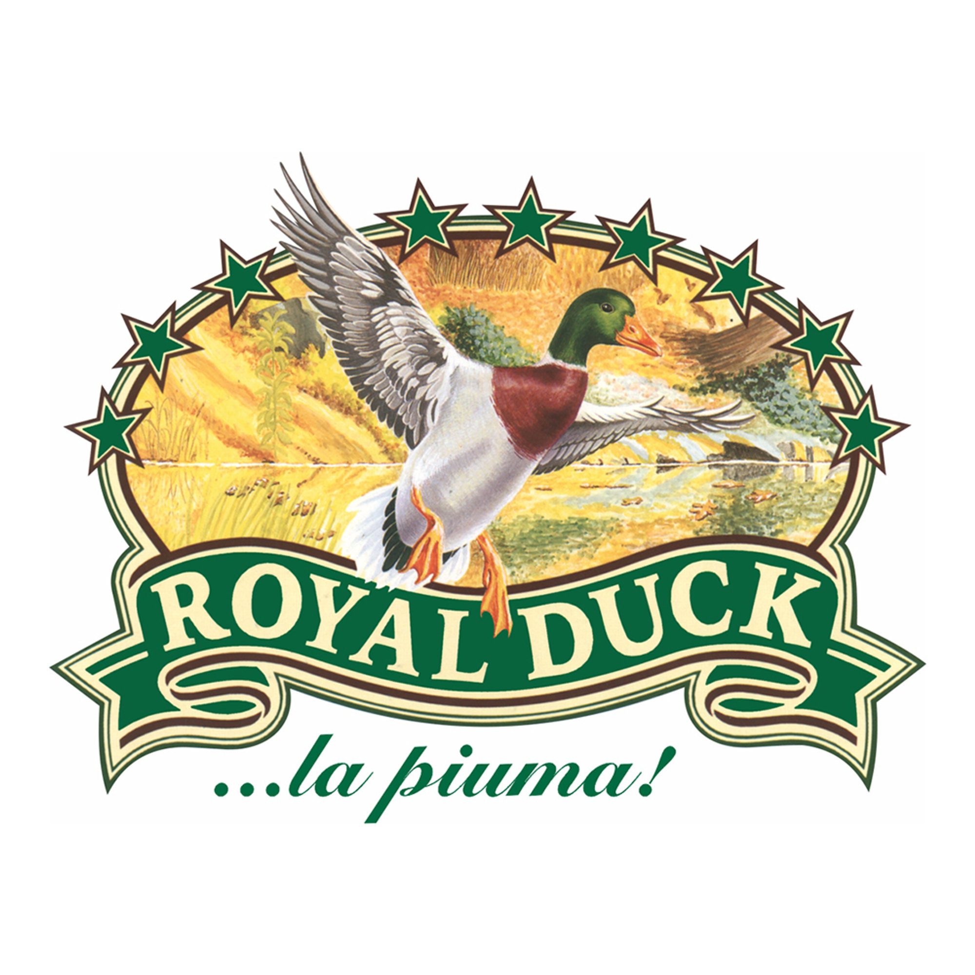 Piumino in Piuma bicolore155x200, malva Soffim vista6