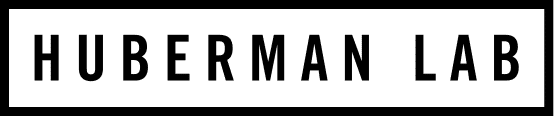 Huberman Lab logo