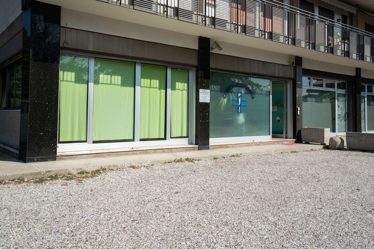 Clinica Veterinaria Pagini - Esterno