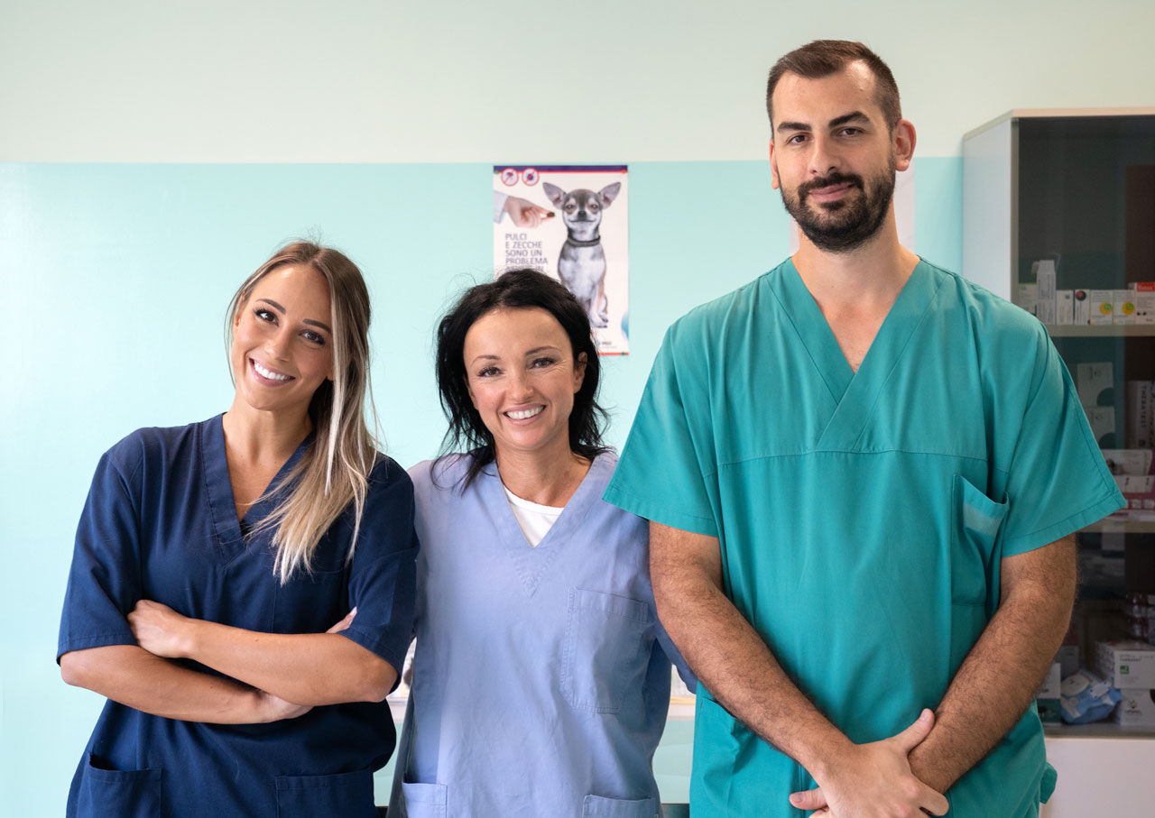 Staff Clinica Pagini