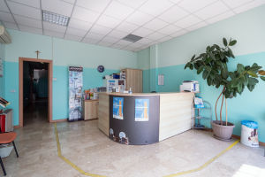 Sala d'aspetto Clinica Veterinaria Pagini