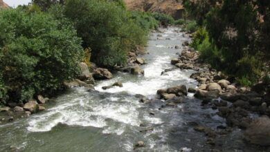נהר הירדן, קרדיט: המשרד להגנת הסביבה