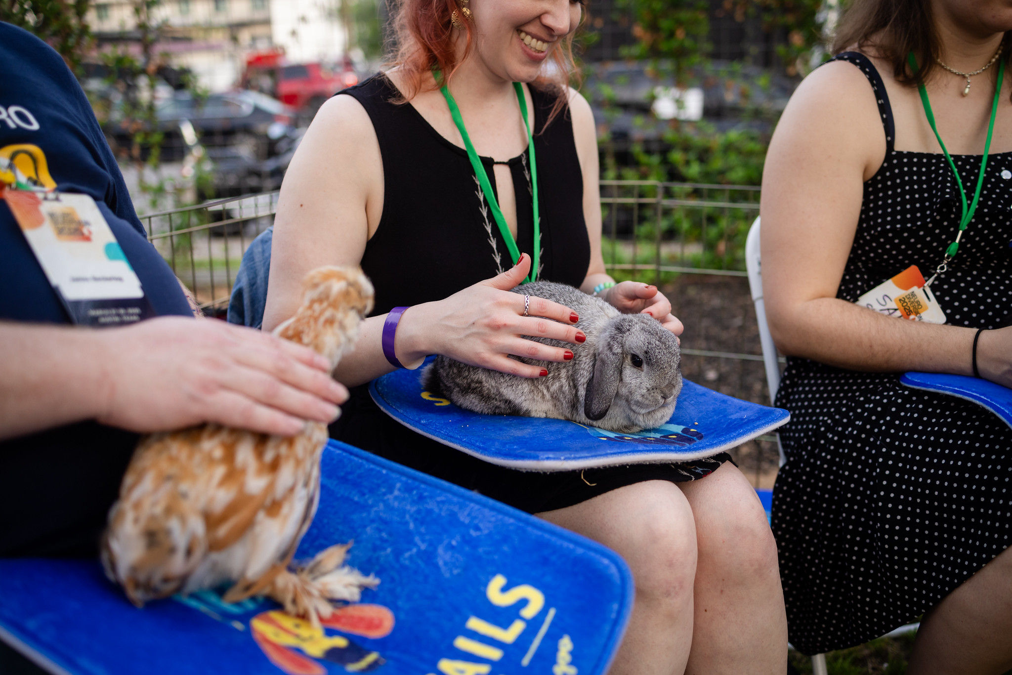 Vendor booths at the Expo