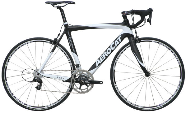 2010 Aerocat R509