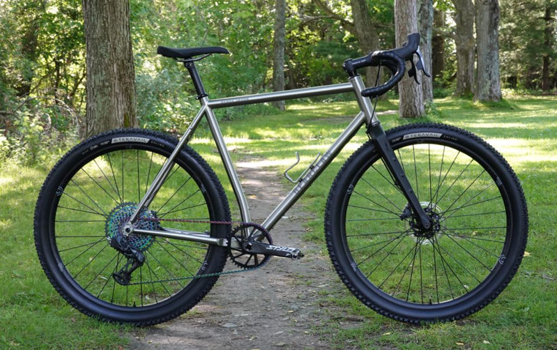 2019 Bearclaw Beaux Jaxon