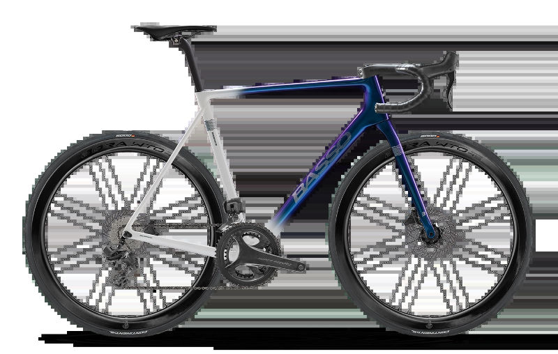 2026 Basso Diamante