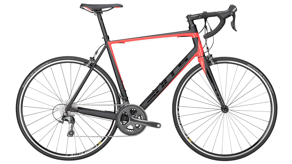 2017 Bulls Harrier