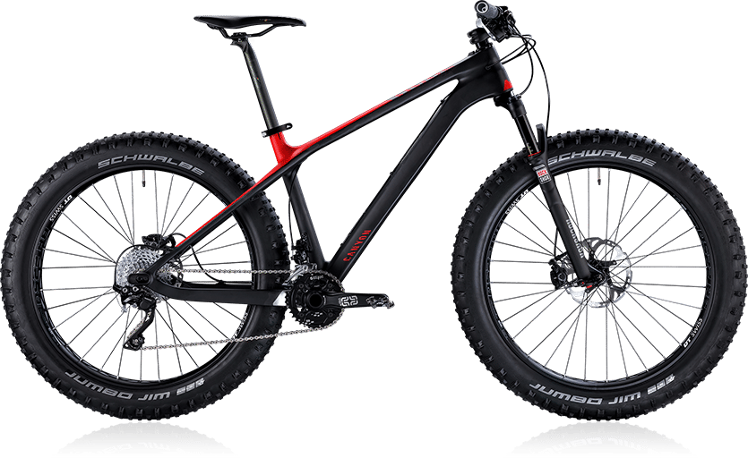 2015 Canyon Dude CF - Bluto